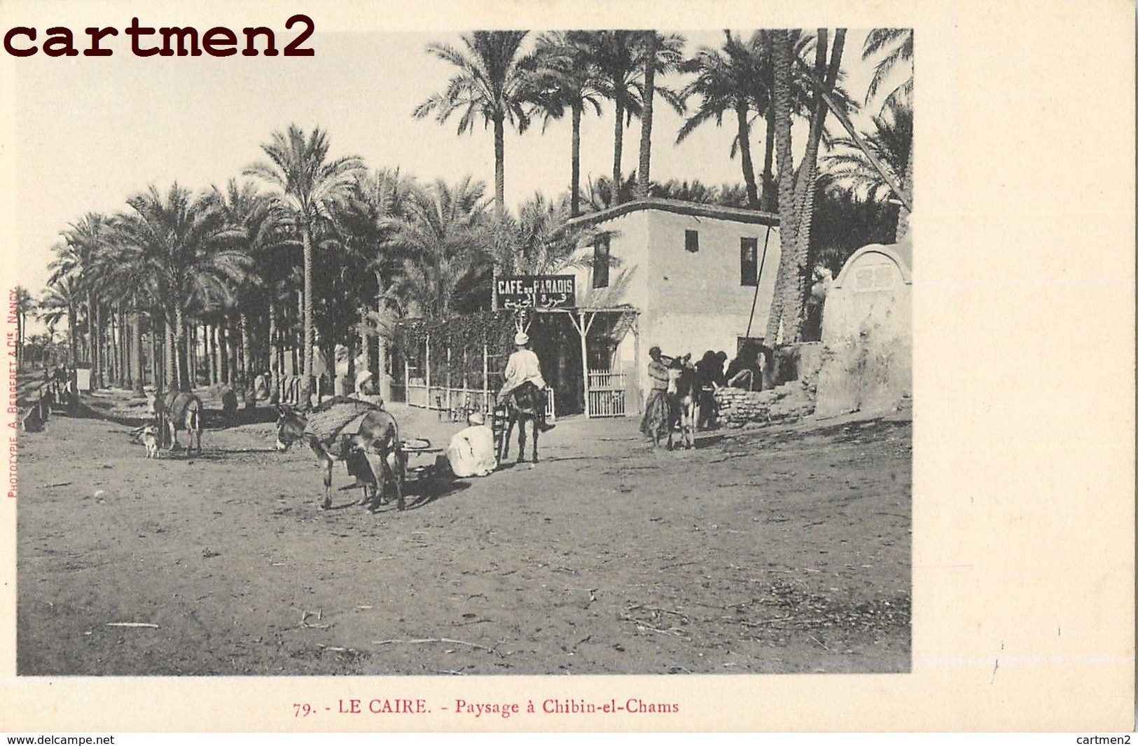 LE CAIRE CHIBIN-EL-CHAMS PAYSAGE EGYPTE AFRIQUE - Caïro