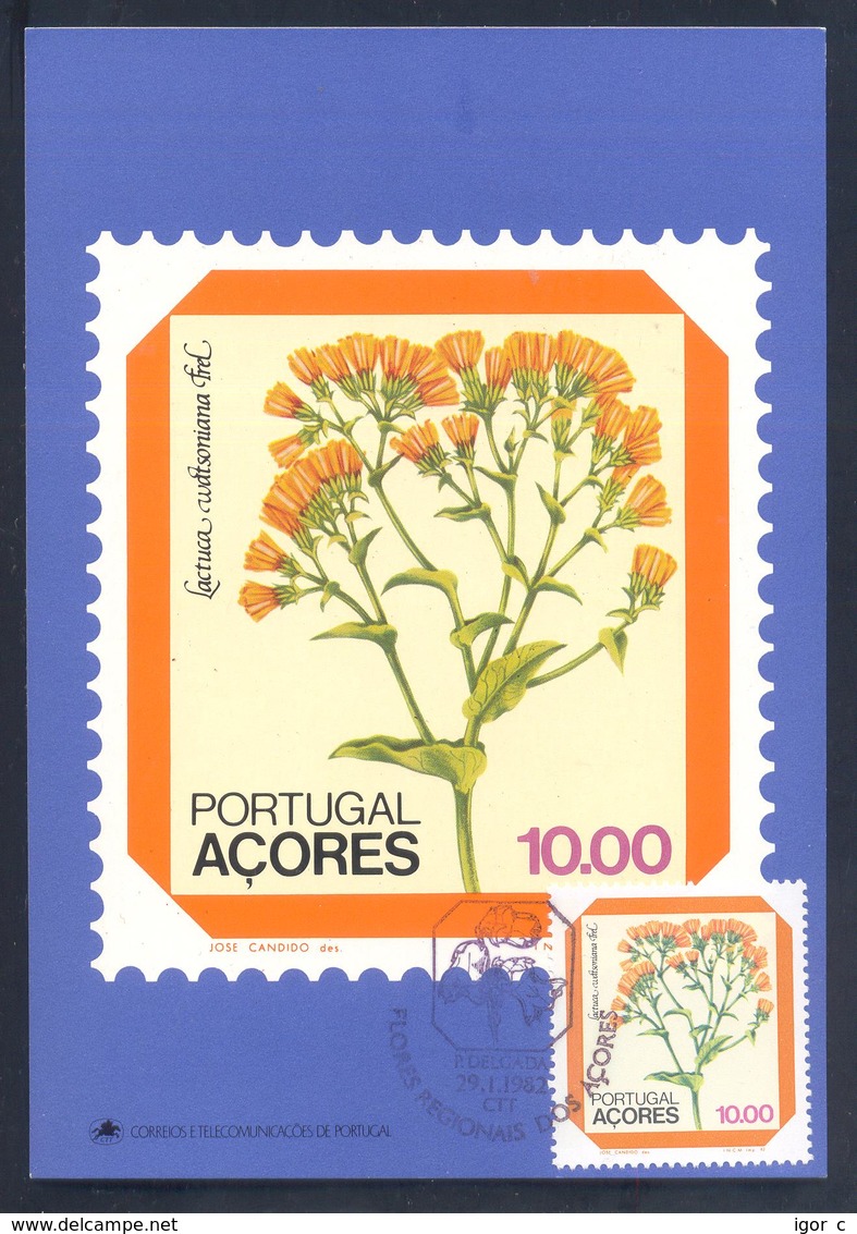 Portugal Azores 1982 Maximum Card: Flora Flowers Blume; Lettuce (Lactuca Watsoniana) - Sonstige & Ohne Zuordnung