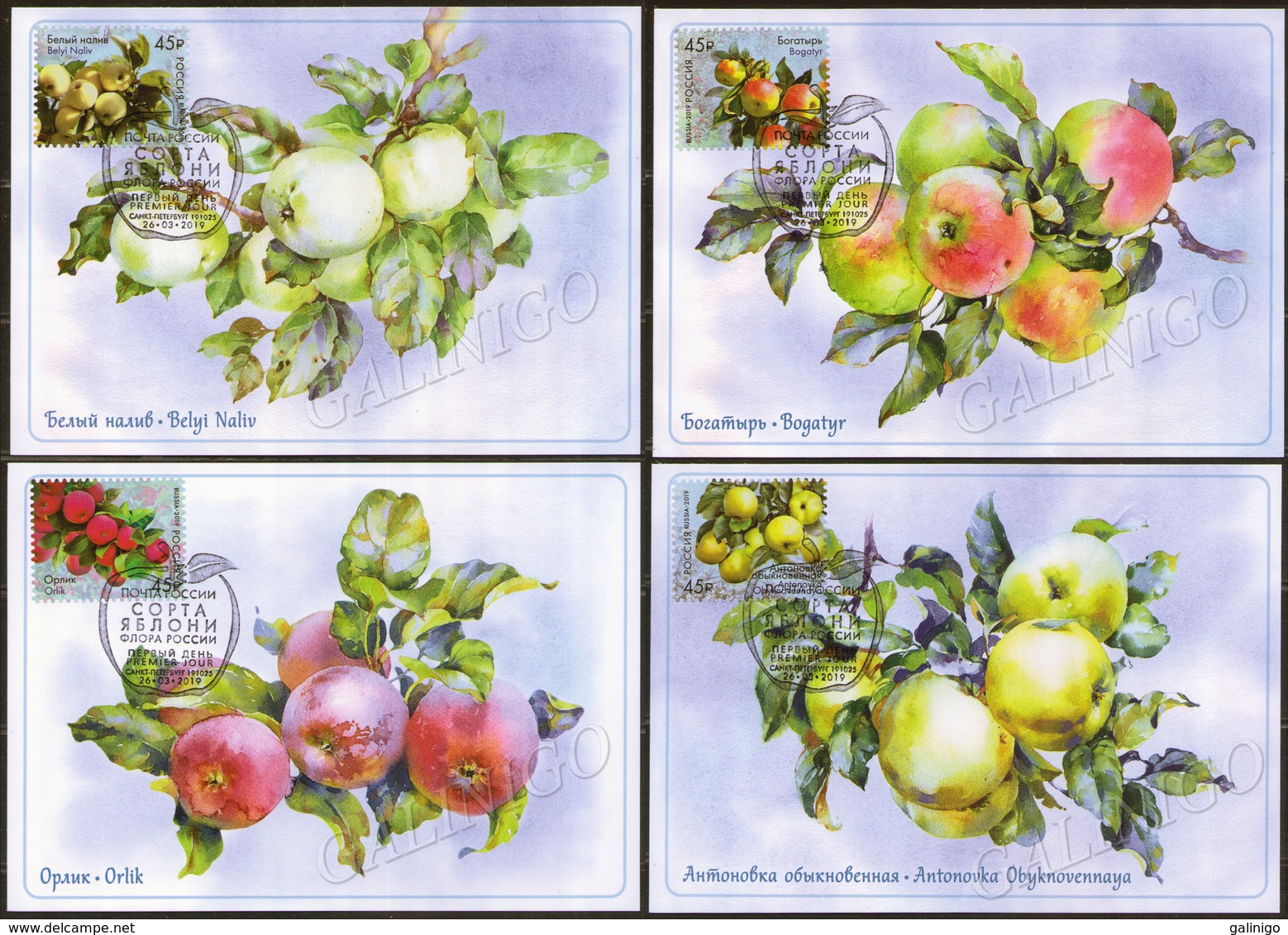 2019-2456-2459 Russia Canc St.Petersburg 4 Maxi Card's MC-116-118  FLORA: FRUITS: Strains Of Apple Trees.Apples - Fruits