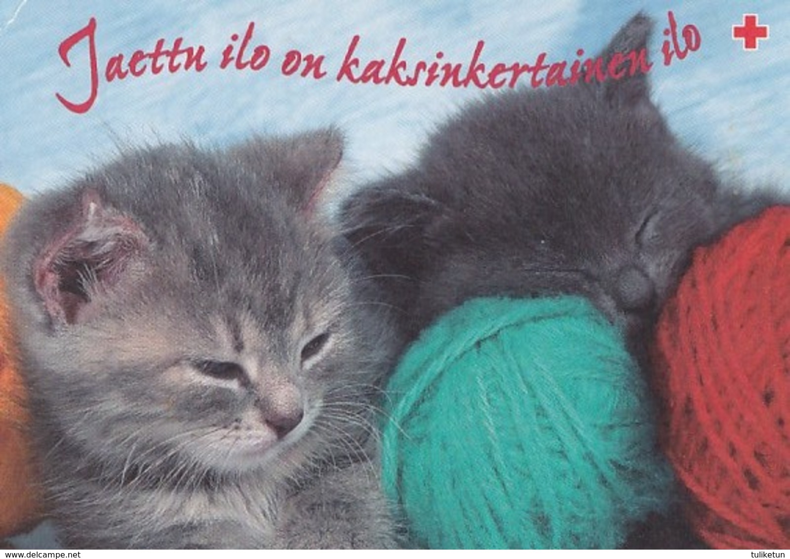 Postal Stationery - Cats - Kittens - Red Cross 1998 - Suomi Finland - Postage Paid - Interi Postali