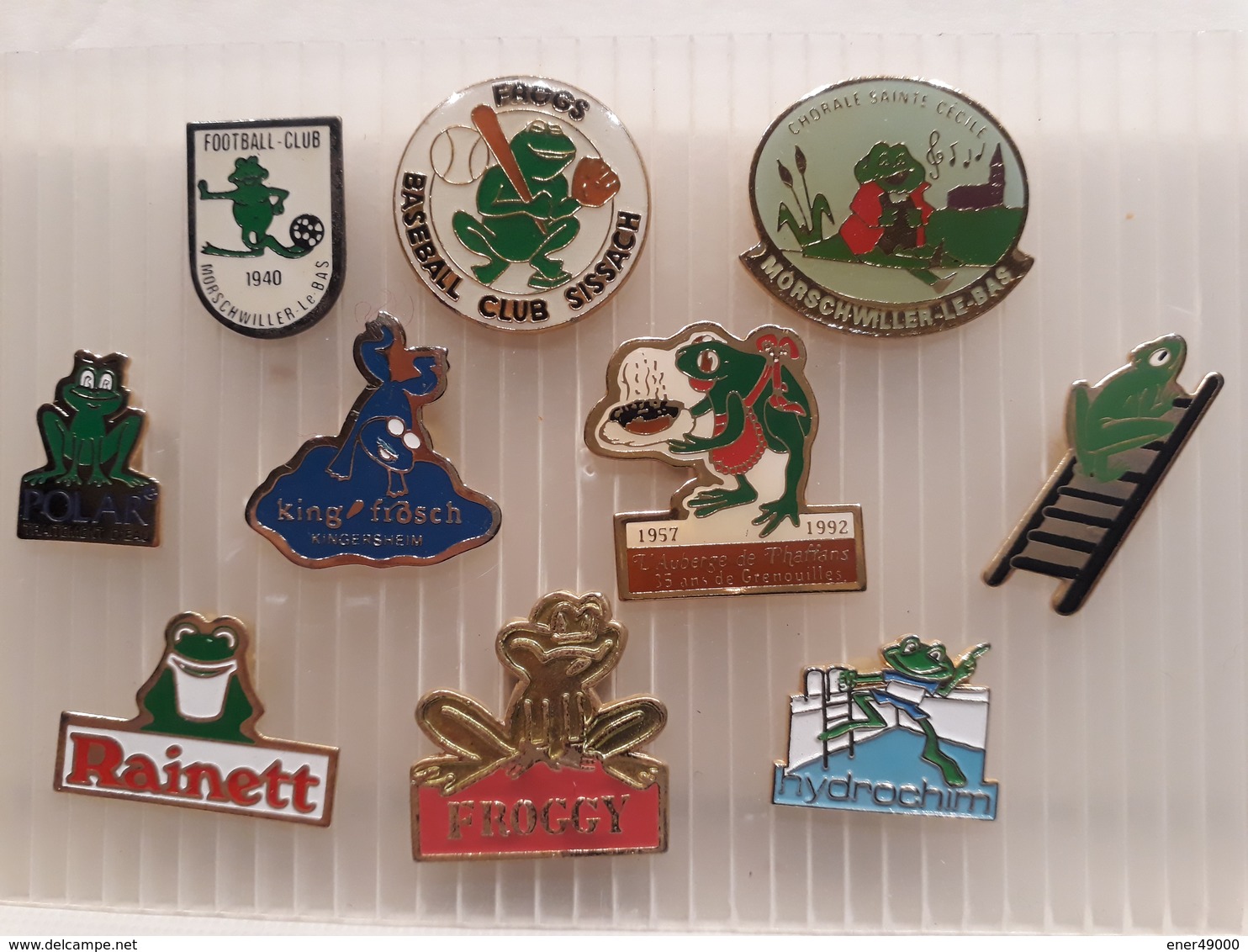 GRENOUILLES . 11 PIN'S - Animaux