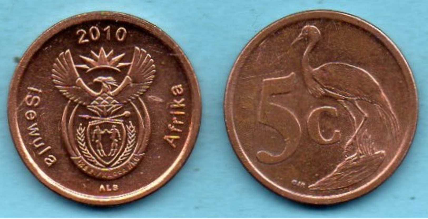 AFRIQUE SUD   5 CENTS 2010 - Afrique Du Sud