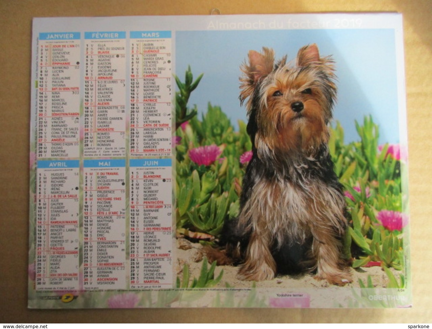 Almanach Du Facteur 2019 / Calendrier La Poste /  Chiens - Yorksire Terrier - Beagle - Grand Format : 2001-...