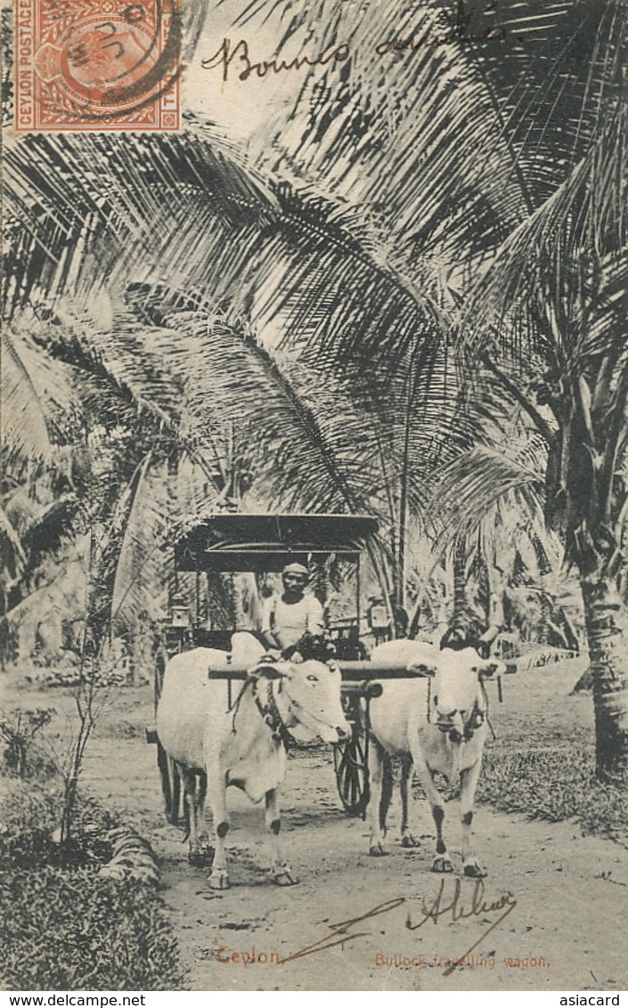 Ceylon Bullock Travelling Wagon  Attelage Boeuf Edit Platé  Used To Cherbourg - Sri Lanka (Ceylon)