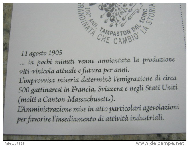 G1 ITALIA ANNULLO CANCEL - 2005 GATTINARA VERCELLI 2 CARD TAMPASTON GRANDINE UVA VITE WINE METEO EMIGRAZIONE - Environment & Climate Protection