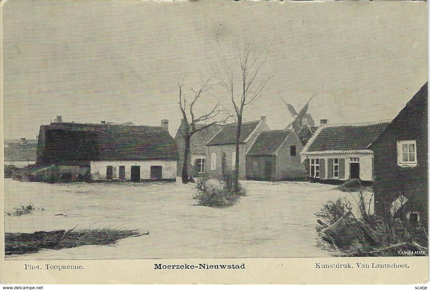 Moerzeke-Nieuwstad   -   Molen! - Hamme