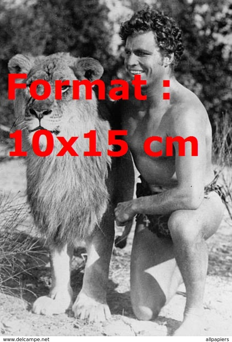 Reproduction D'une Photographie Ancienne De Buster Crabbe Tarzan En Compagnie D'un Lion En 1933 - Autres & Non Classés