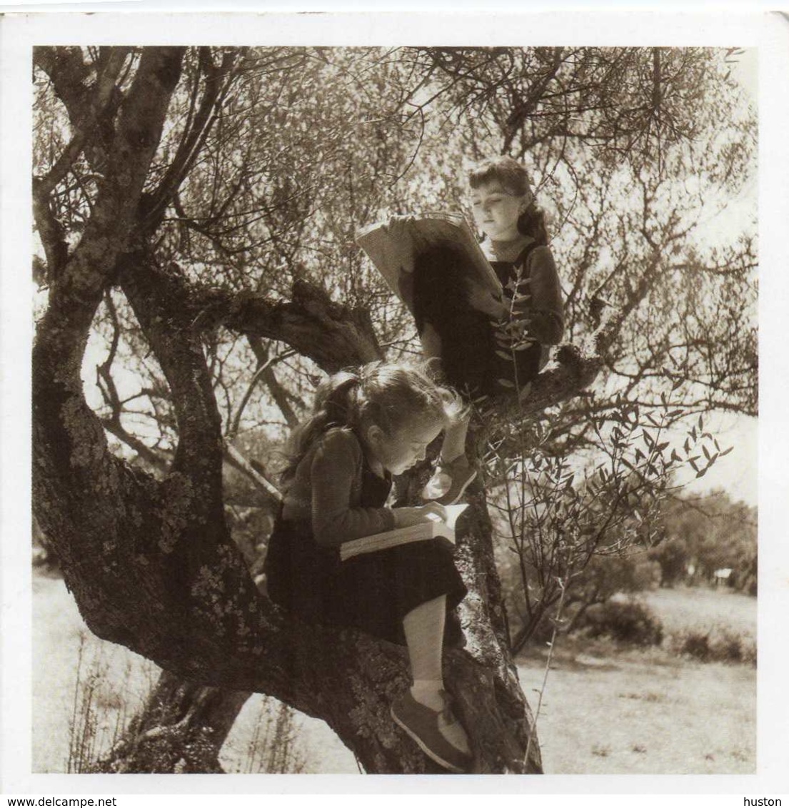 1954 - PAQUES EN PROVENCE - Fillettes Dans Un Arbre - Doisneau