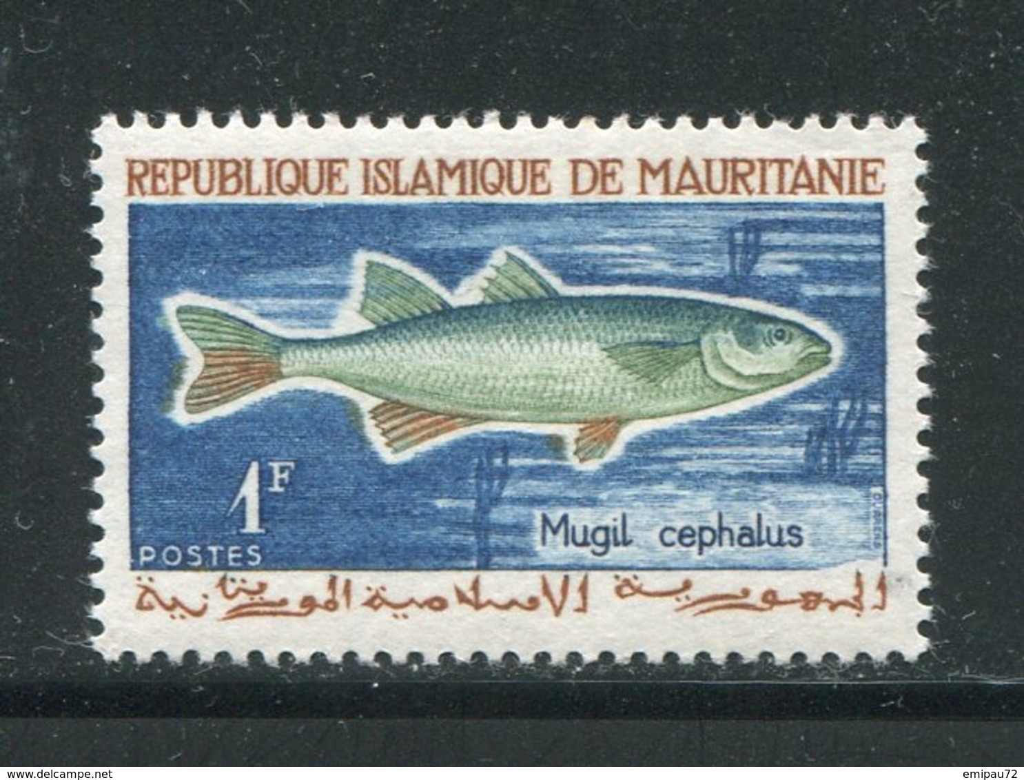 MAURITANIE- Y&T N°179- Neuf Sans Charnière ** (poissons) - Mauritanie (1960-...)