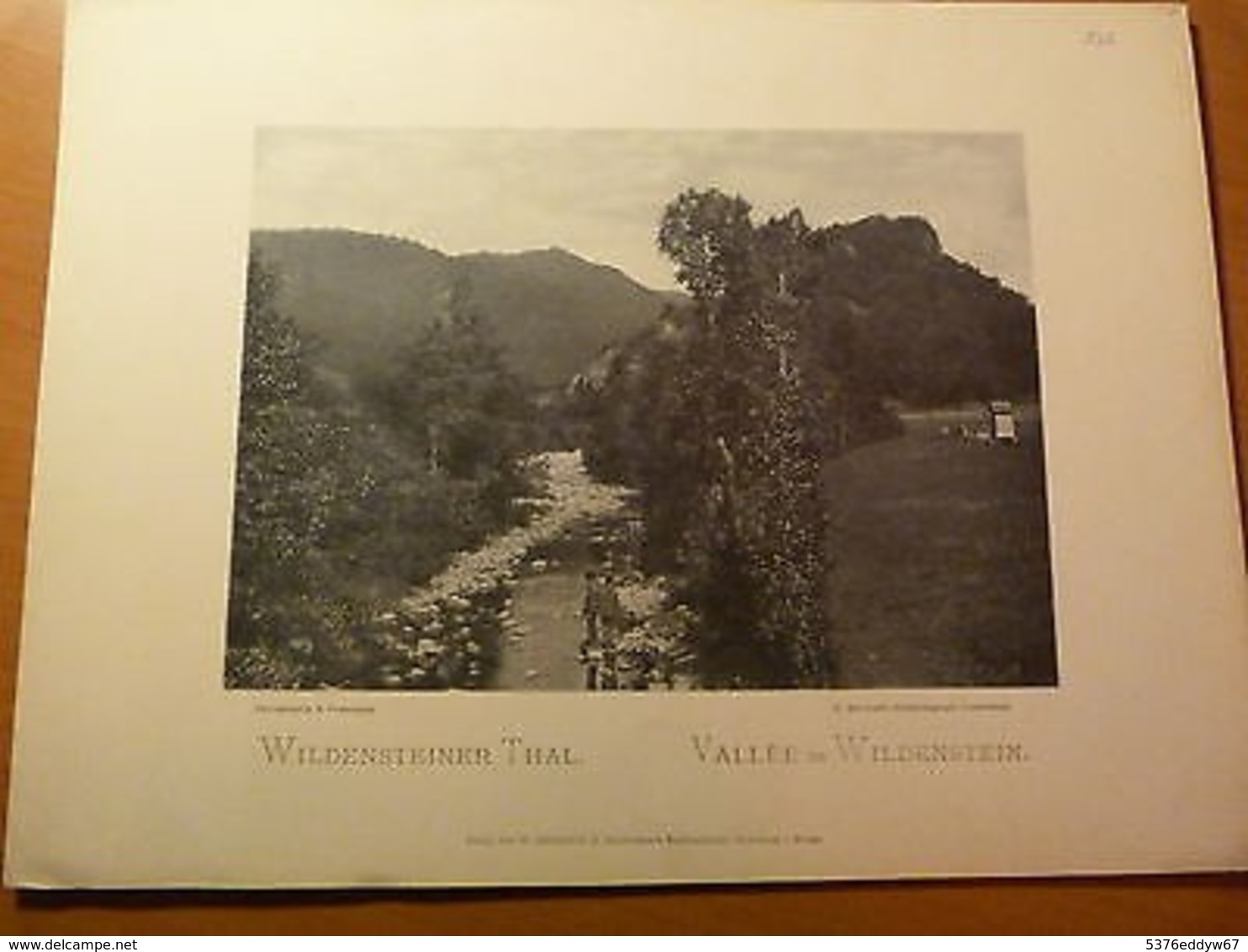 Alsace-Phototypie-Vallée De Wildenstein-Thur-Hautes-Vosges-Guebwiller-La Bresse - 1901-1940