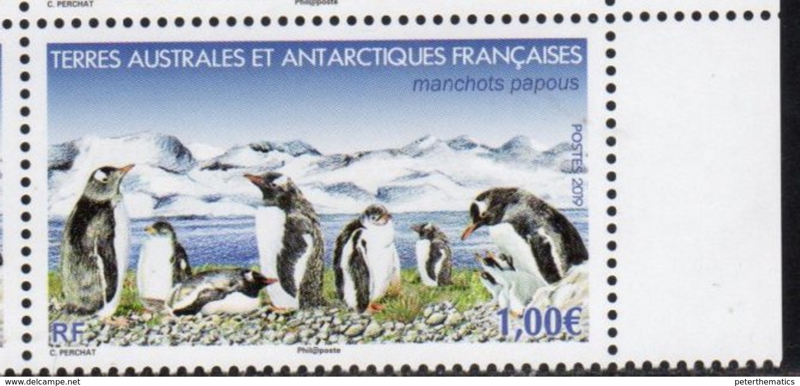 TAAF ,  FRENCH ANTARCTIC, 2019, MNH,PENGUINS, 1v - Pinguini