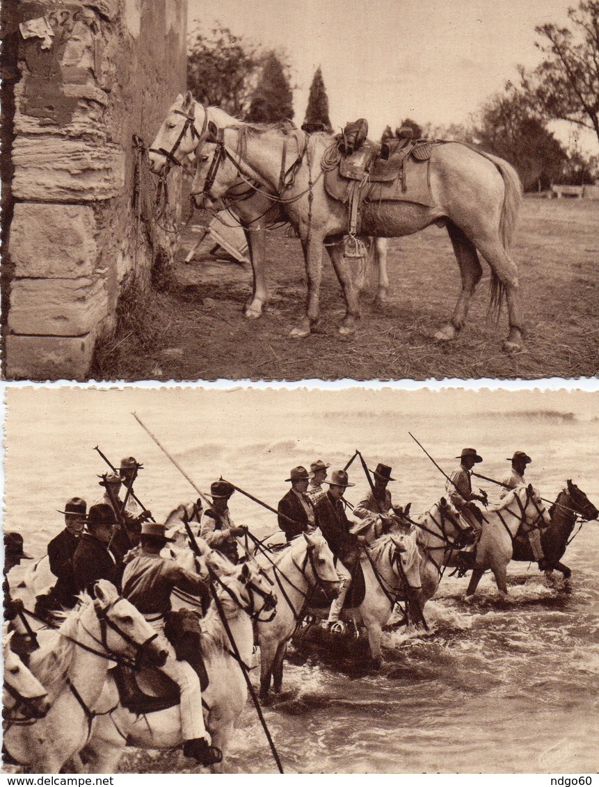 2 CP - Camargue - Mas De Saint Césaire,chevaux De Gardians & Pélérinage Stes Maries De La Mer,gardians Dans La Mer - Provence-Alpes-Côte D'Azur