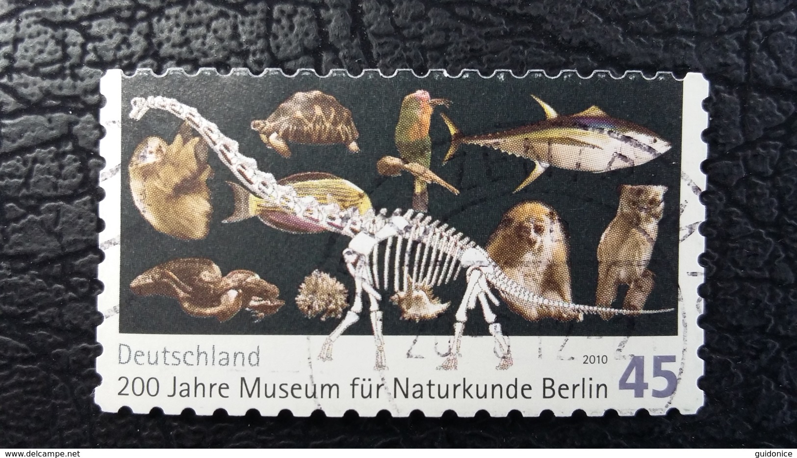 Sondermarke Aus Deutschland Mit Darstellung Eines Skeletts Eines Brachiosaurus - Archäologie