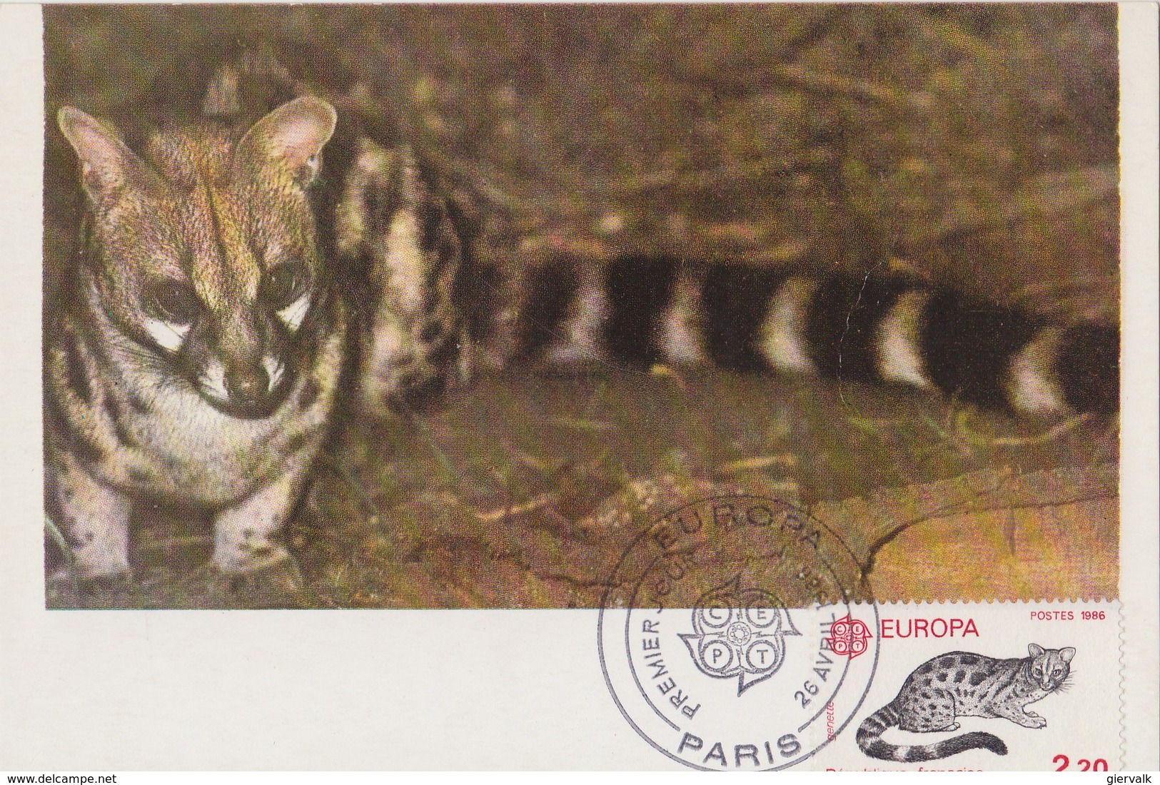 FRANCE 1986 Max Card With Genet.BARGAIN.!! - Big Cats (cats Of Prey)