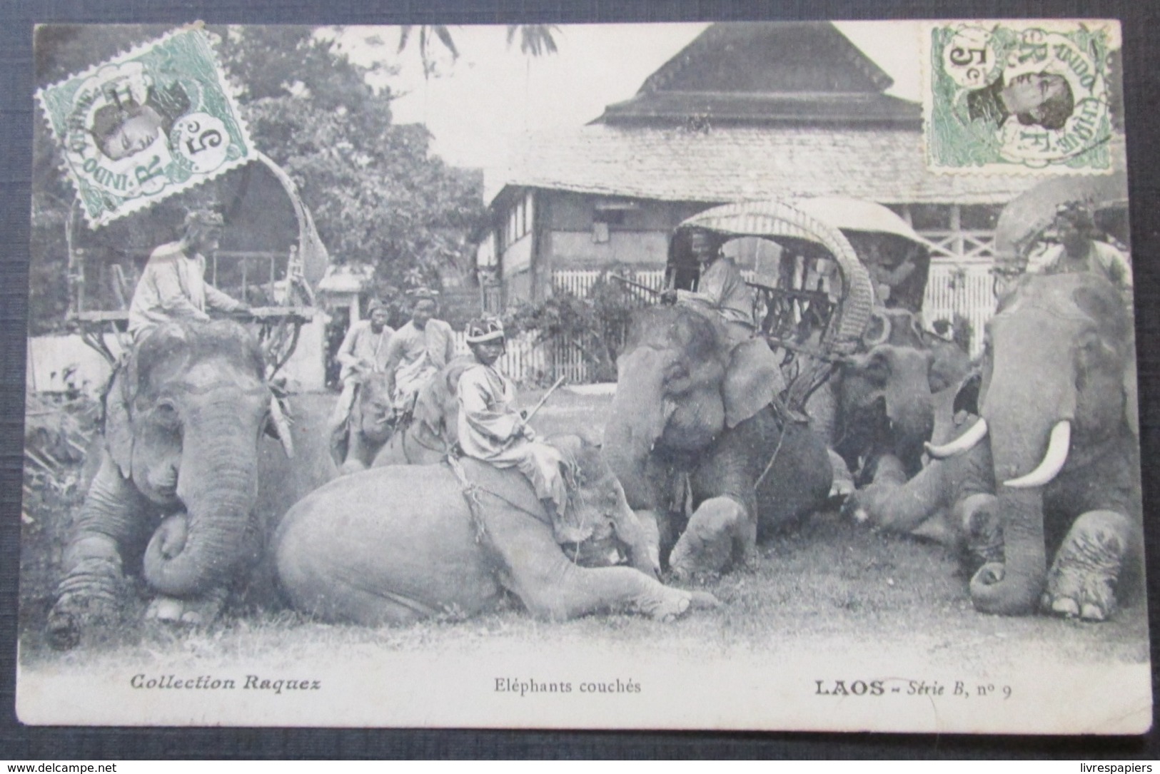 Laos  Elephants Couchés  Cpa Timbrée Raquez - Laos