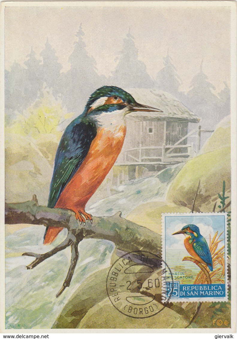 SAN MARINO 1960 Max Card With Kingfisher.BARGAIN.!! - Altri & Non Classificati