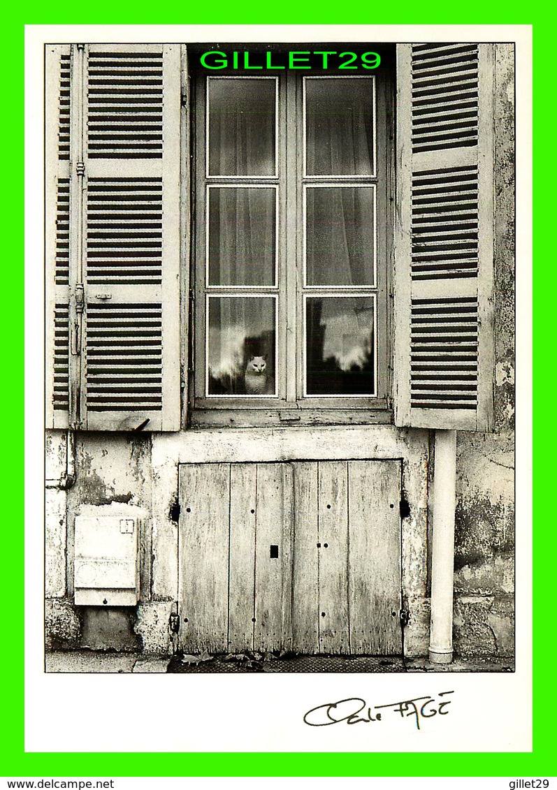 PHOTOGRAPHES - CLAUDE FAGÉ, CLICHÉ 1986 - RIDEAUX No 3 - CHAT - TIRAGE LIMITÉ No 009 / 350 - LES CHENNAVIÈRES - - Autres & Non Classés