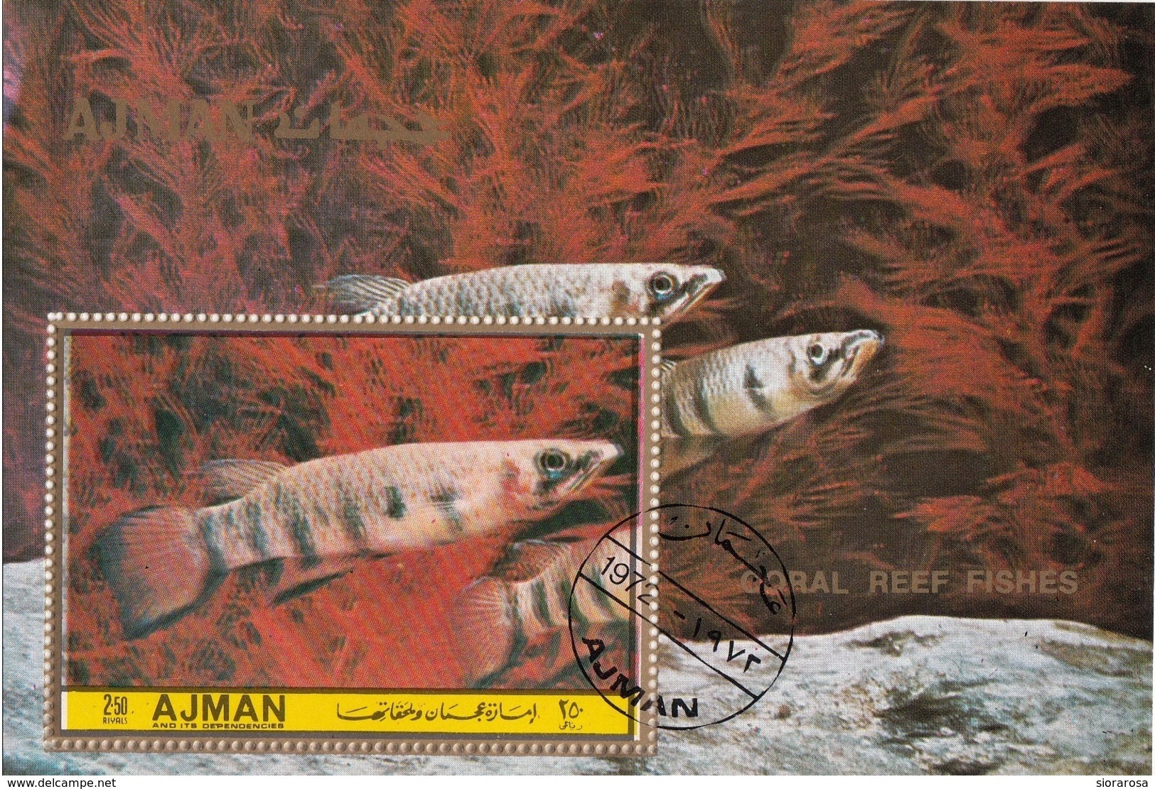 Bf. Ajman 1972 Coral Reef Fishes Pesci Dei Coralli Perf. - Ajman