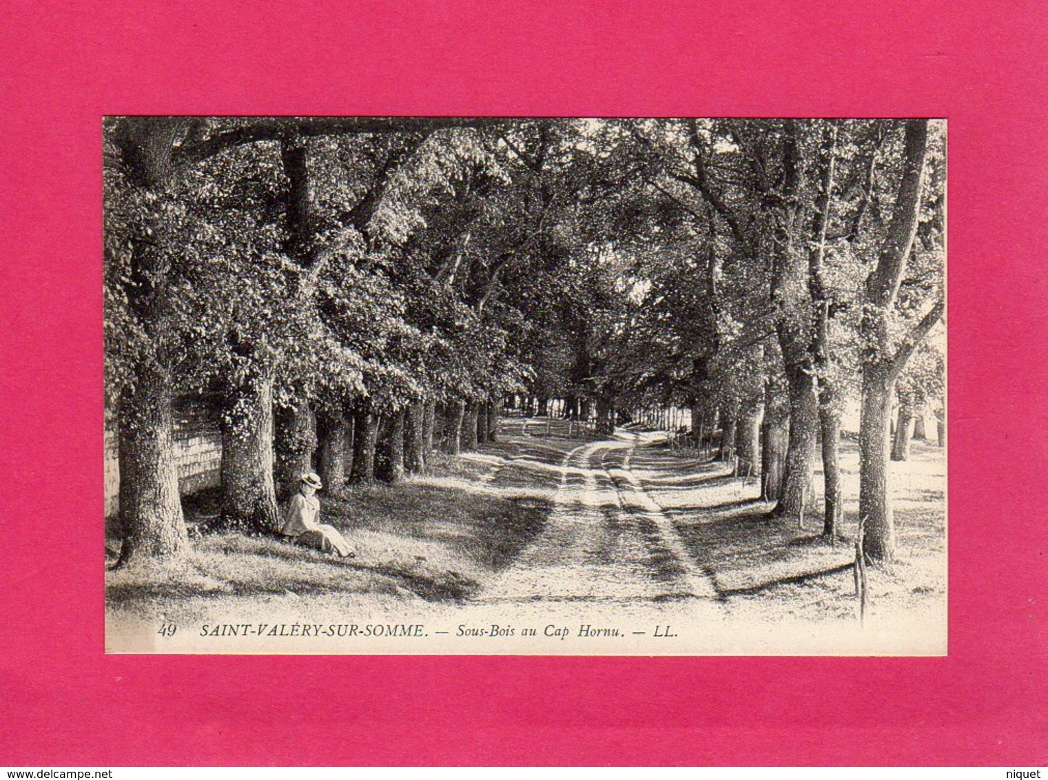 80 Somme, SAINT-VALERY-SUR-SOMME, SOUS-BOIS AU CAP HORNU, Animée, (L. L.) - Saint Valery Sur Somme