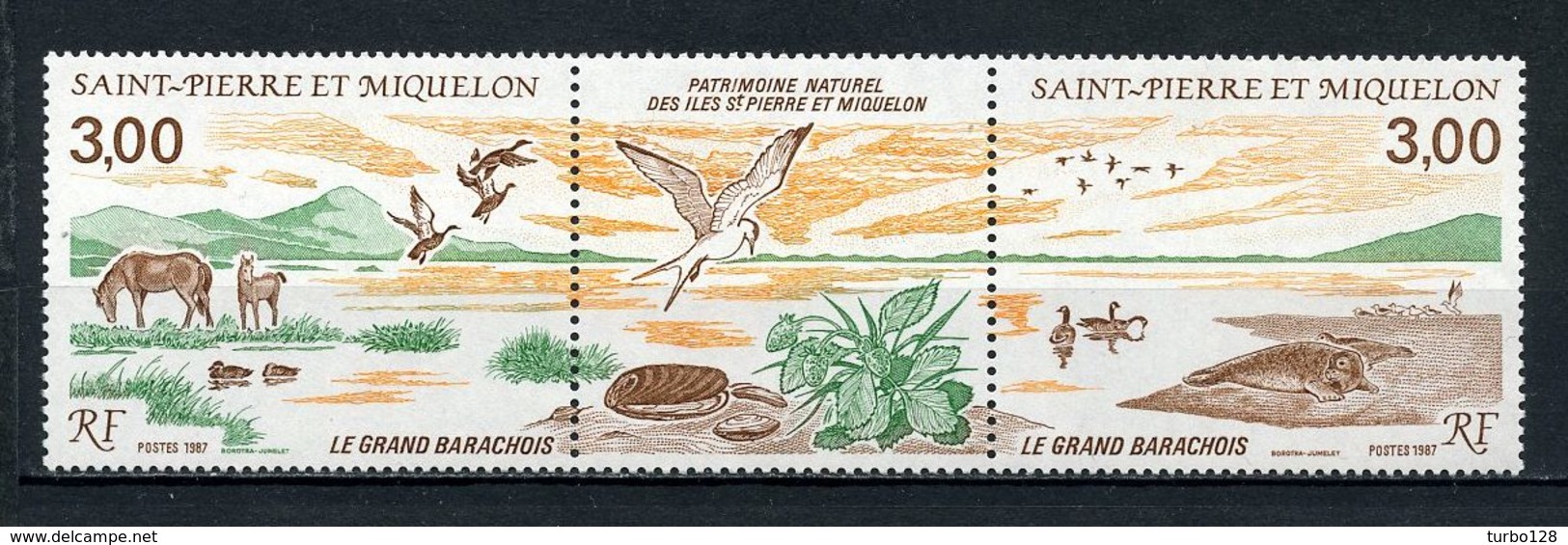 SPM MIQUELON 1987 N° 485A ** Neuf MNH Superbe C 5,40 &euro; Le Grand Barachois Chevaux Oiseaux Horses Birds Animaux - Neufs