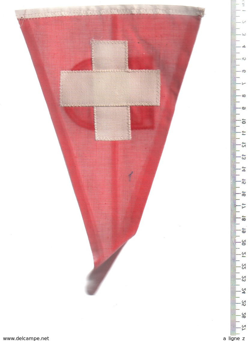 REF ENV : Fanion Flag Pennant Stendardo Touristique Ancien : Bad Ragaz - Obj. 'Remember Of'