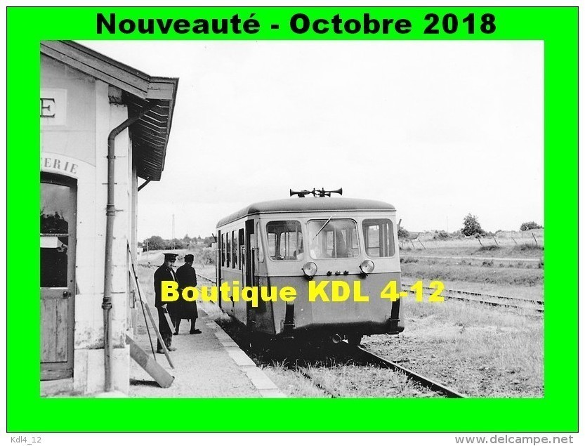 AL 543 - Autorail Billard N° 902 En Gare - LIGRE RIVIERE - Indre Et Loire - CFD - Other & Unclassified