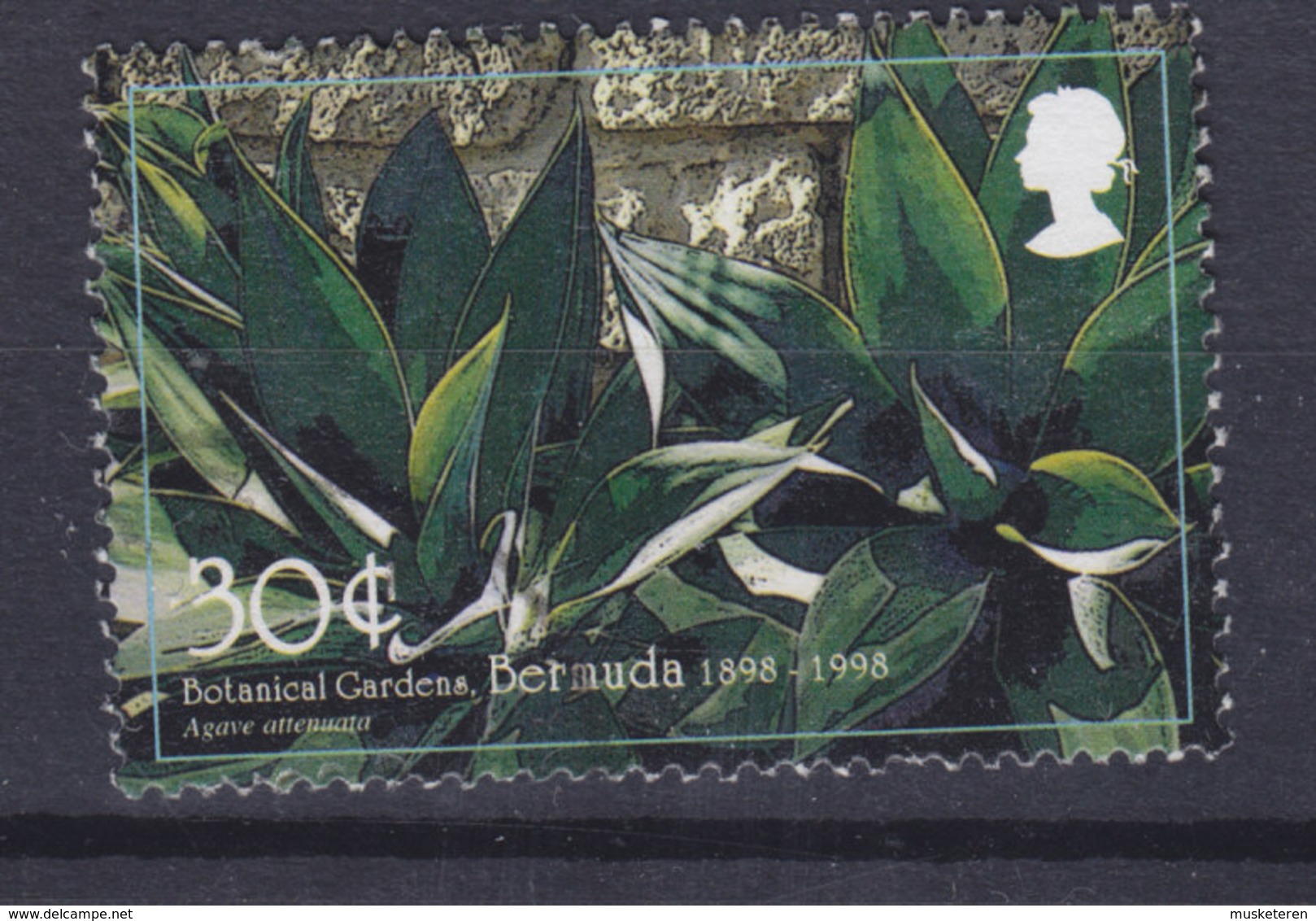 Bermuda 1998 Mi. 749    30 C Botanischer Garten, Hamilton Drachenbaumagave - Bermuda