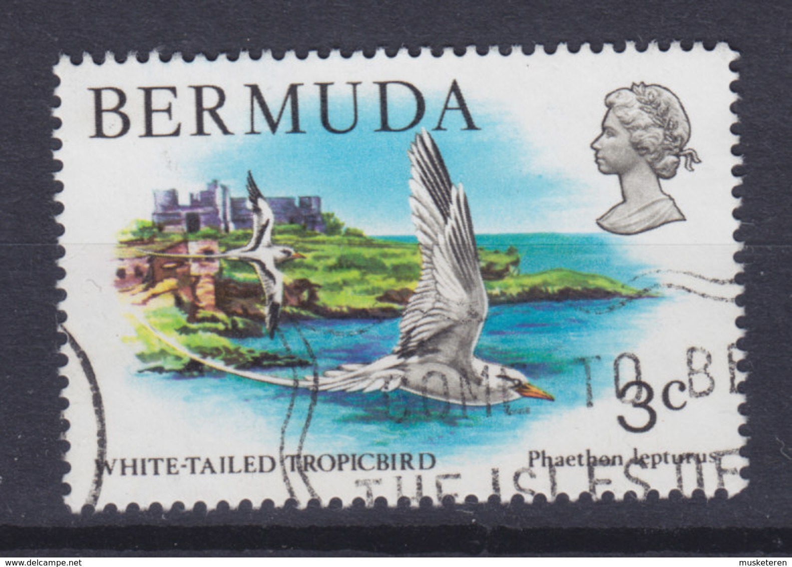 Bermuda 1978 Mi. 352      3 C Bird Vogel Oiseau - Bermuda