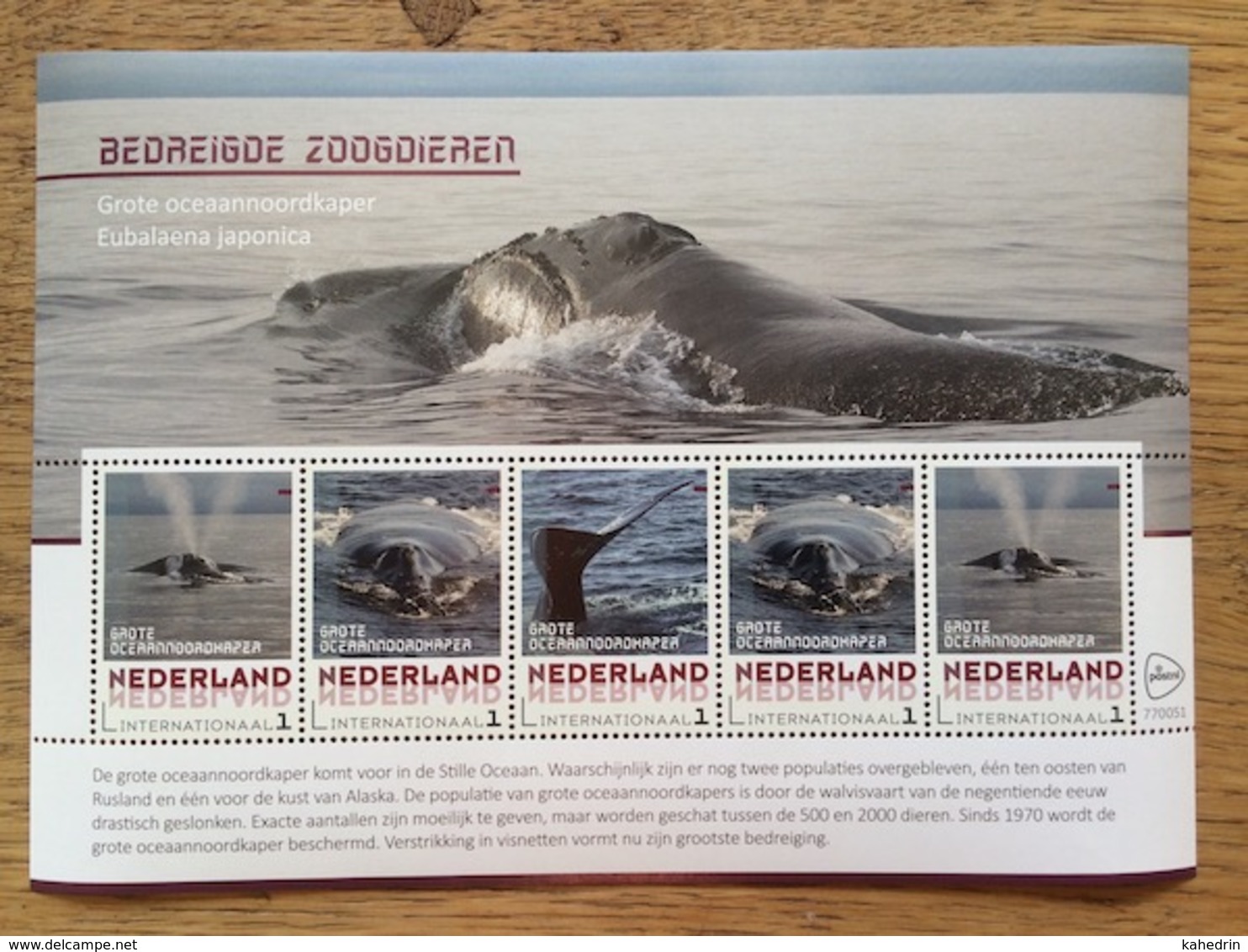 Nederland Pay Bas Olanda Netherlands 2017, Endangered Mammal: North Pacific Right Whale **, MNH - Ongebruikt