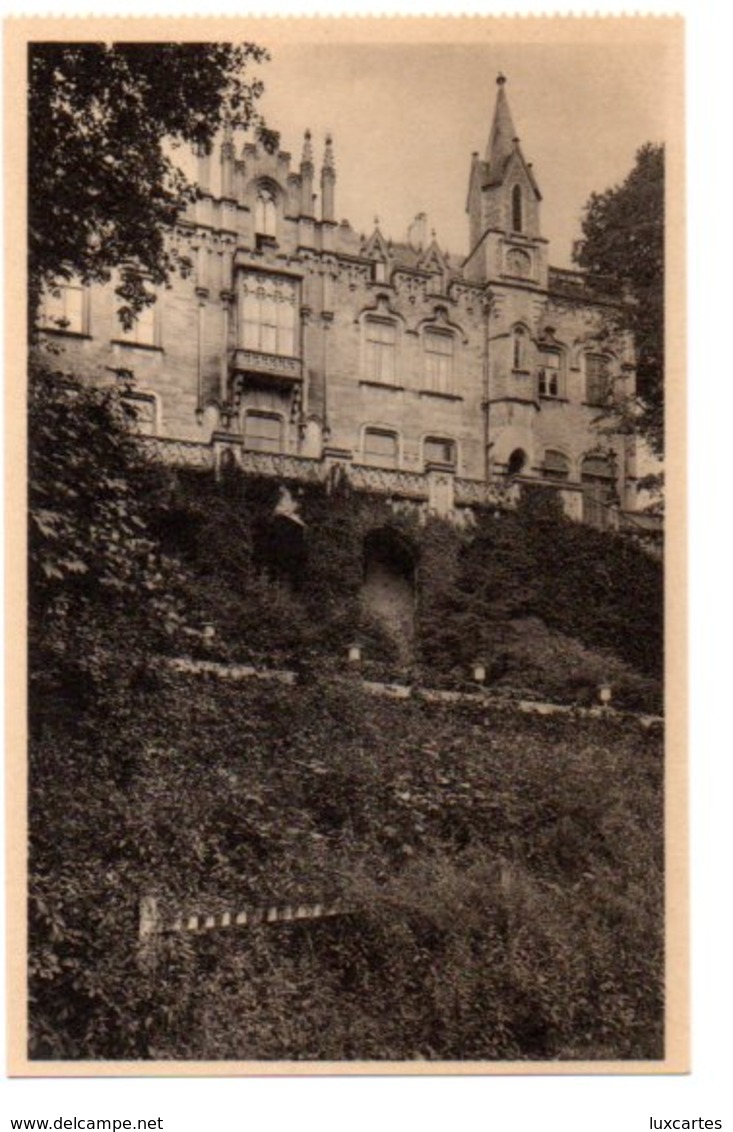 CHATEAU DE CHIMAY. VU DU PARC. - Chimay