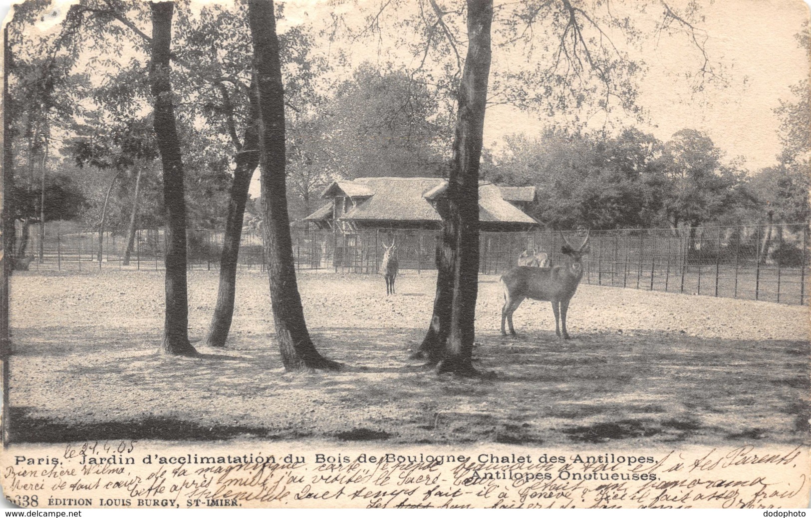 R120176 Paris. Jardin D Acclimatation Du Bois De Boulogne Chalet Des Antilopes. 1905 - Monde