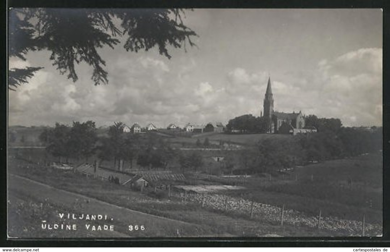 AK Viljandi, Uldine Vaade, Blick Auf Kirche Mit Landschaft - Estland