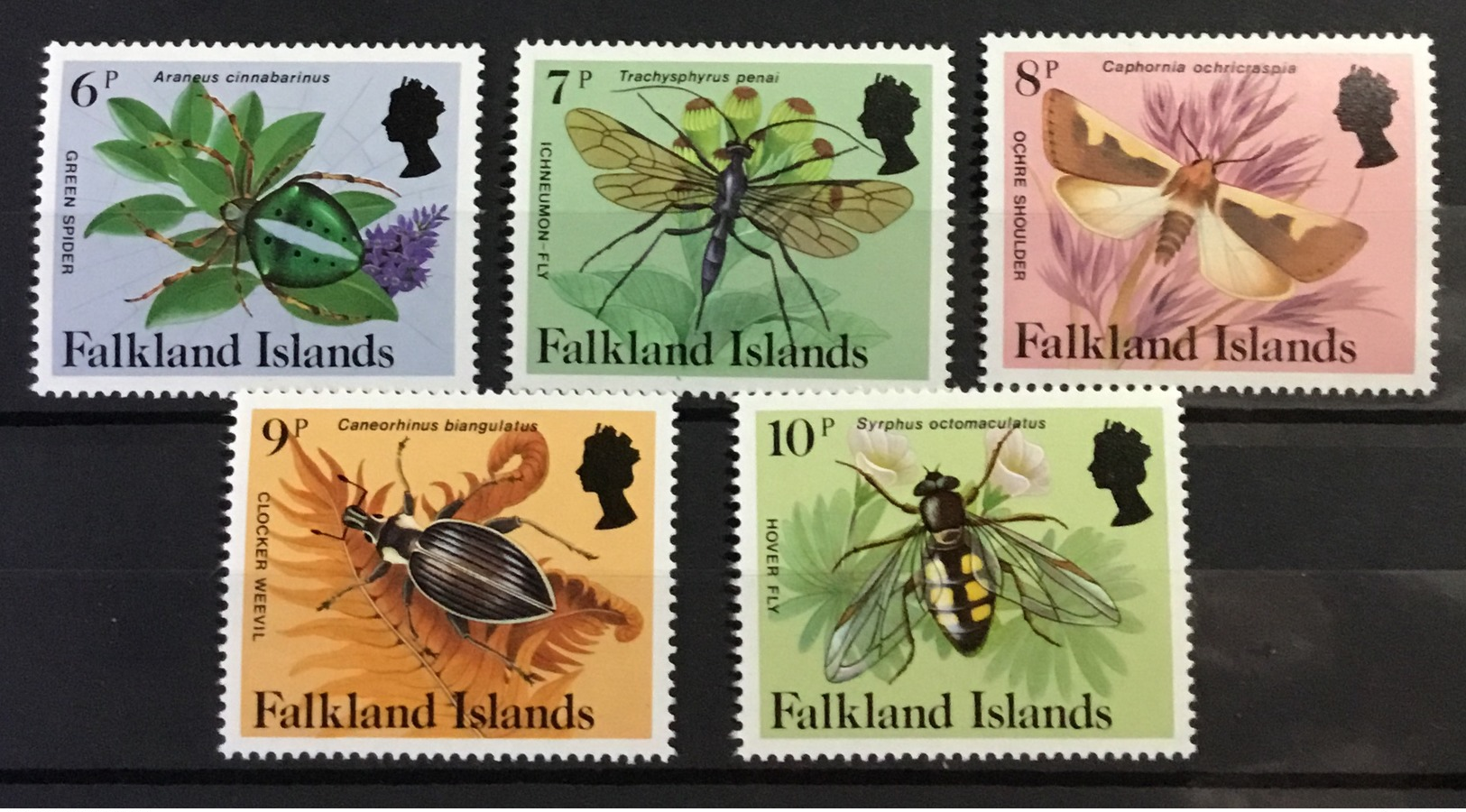 FALKLAND ISLANDS # 387-401.  Complete Set Of 15.  Insects, Butterflies. MNH (**) - Falkland Islands