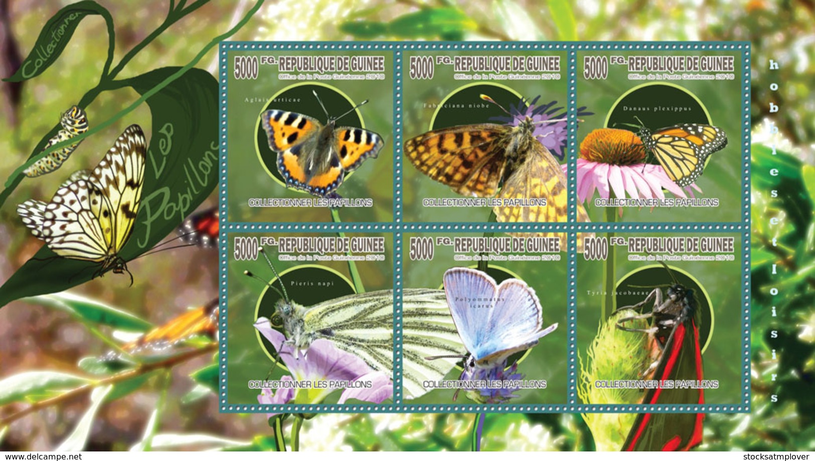 Guinea 2010  Fauna , Collecting Butterflies - Guinea (1958-...)