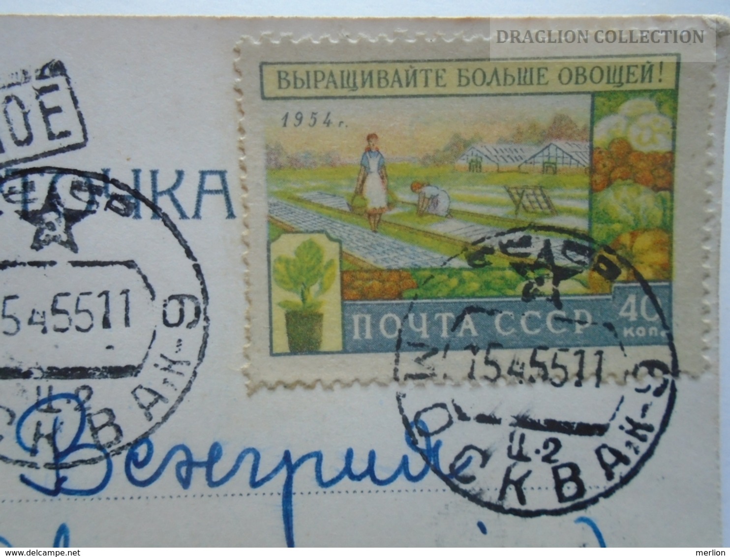 D163216 Lithuania - Military Officer J. TOMAI Autograph On Postcard  1955  Stamp Gardening - Russia URSS - Groenten