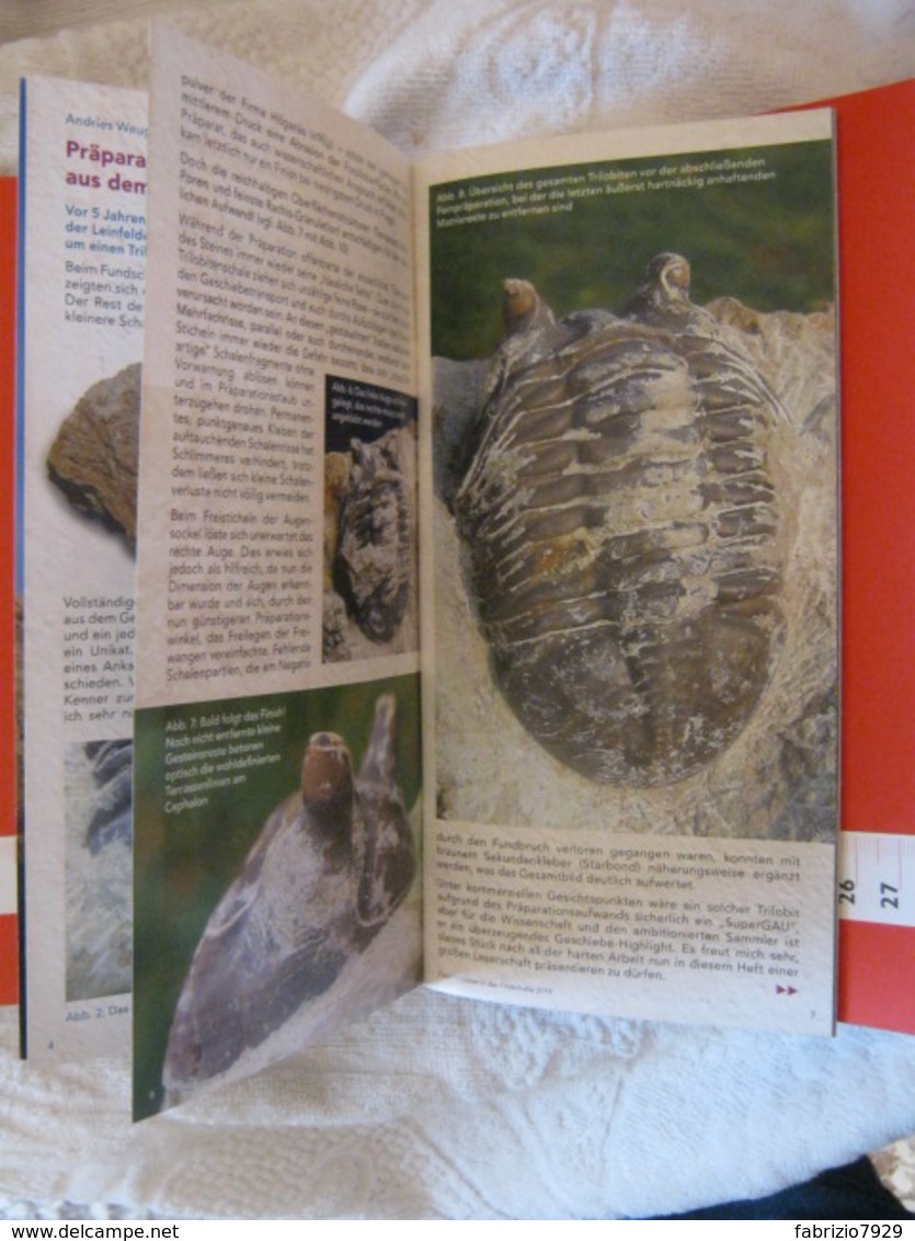 Z.06 FOSSILI DEPLIANT GERMANY - 2019 FOSSILIEN BOURS FILDERHALLE STUTTGART STOCCARDA - 52 PAGE - Fossili