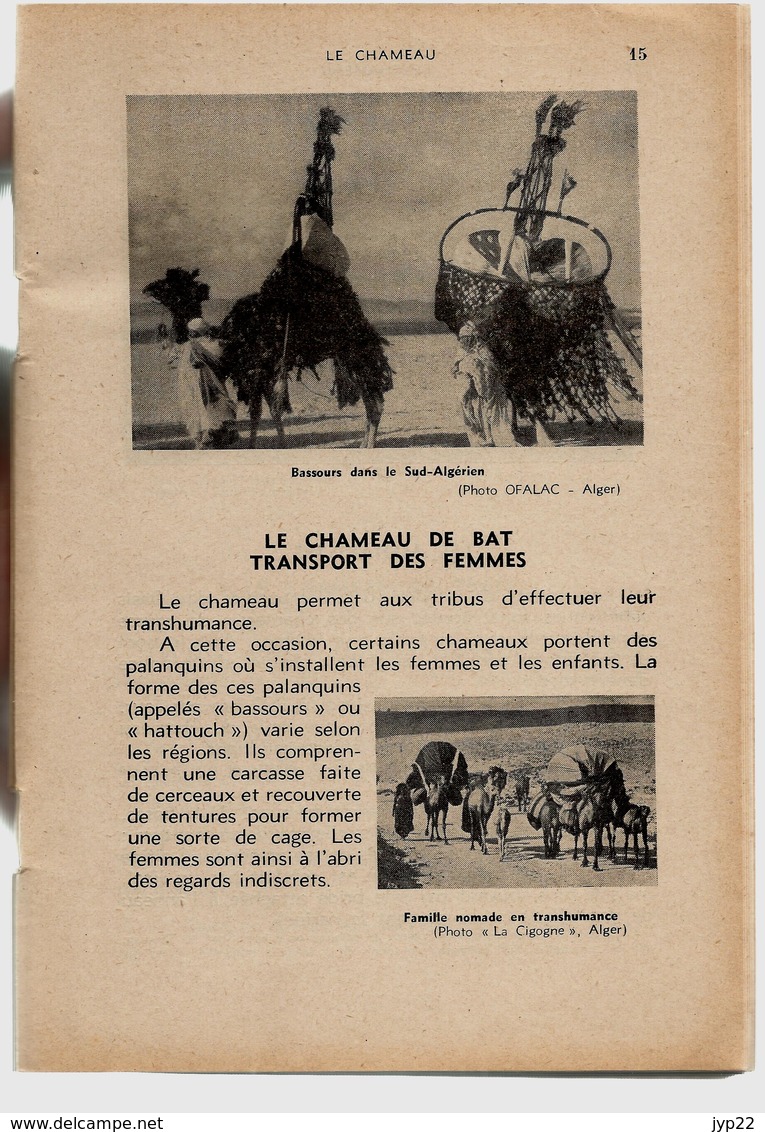 Bibliothèque De Travail 231 22-04-1953 Le Chameau - Afrique Asie Méhari Chamelon Rahla Touareg Dromadaire Lama ... - 12-18 Ans