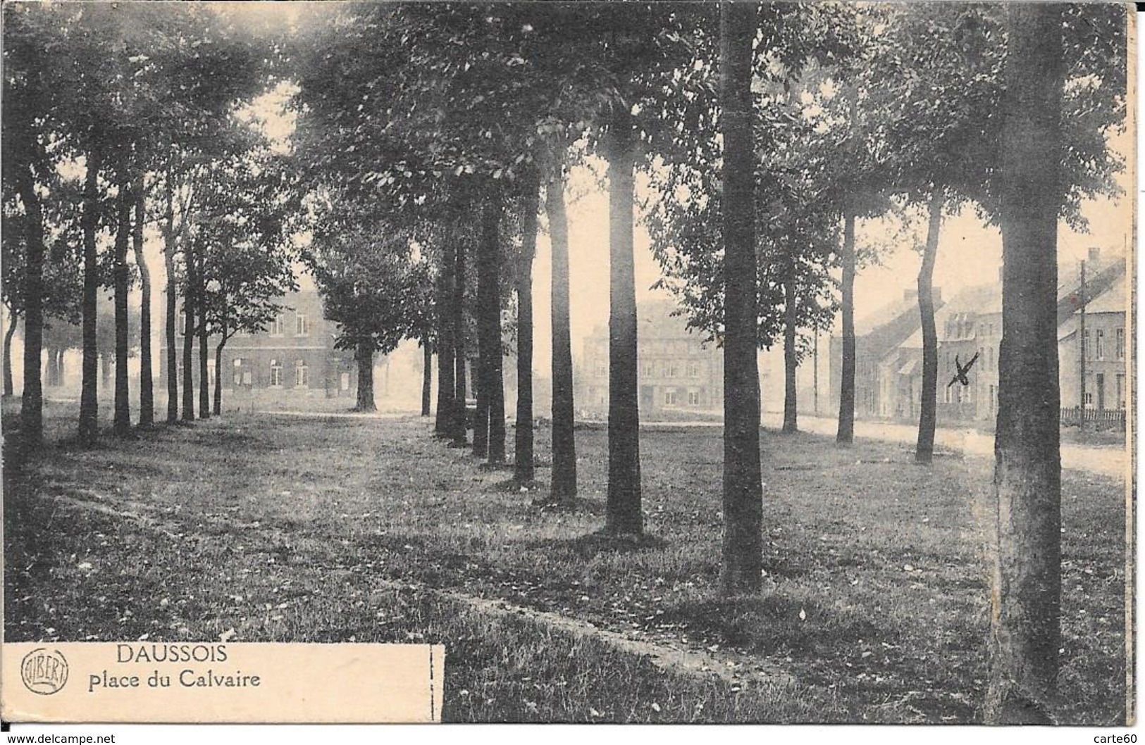 BELGIQUE - DAUSSOIS PLACE DU CALVAIRE - Cerfontaine