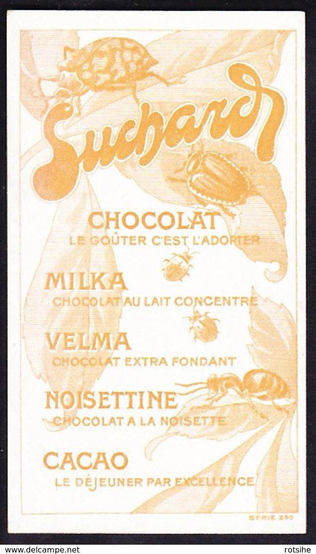 CHROMO Chocolat SUCHARD Scarabées Coléoptères Insectes Insects  Bugs Beetles   Cerathorrine  Serie 250 - Suchard