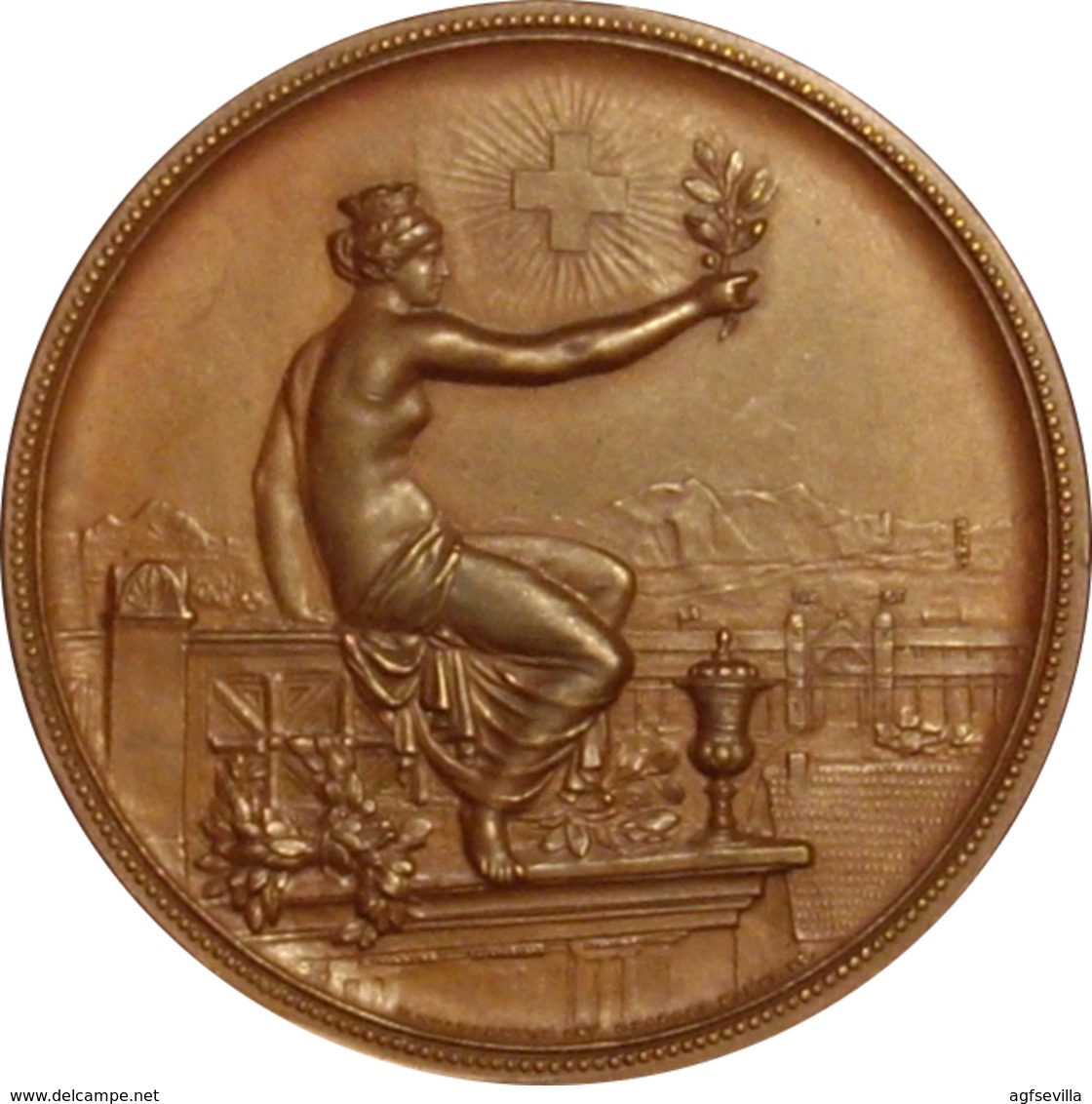 SUIZA. MEDALLA DEL FESTIVAL DE TIRO EN WINTERTHUR. 1.895 - Profesionales / De Sociedad