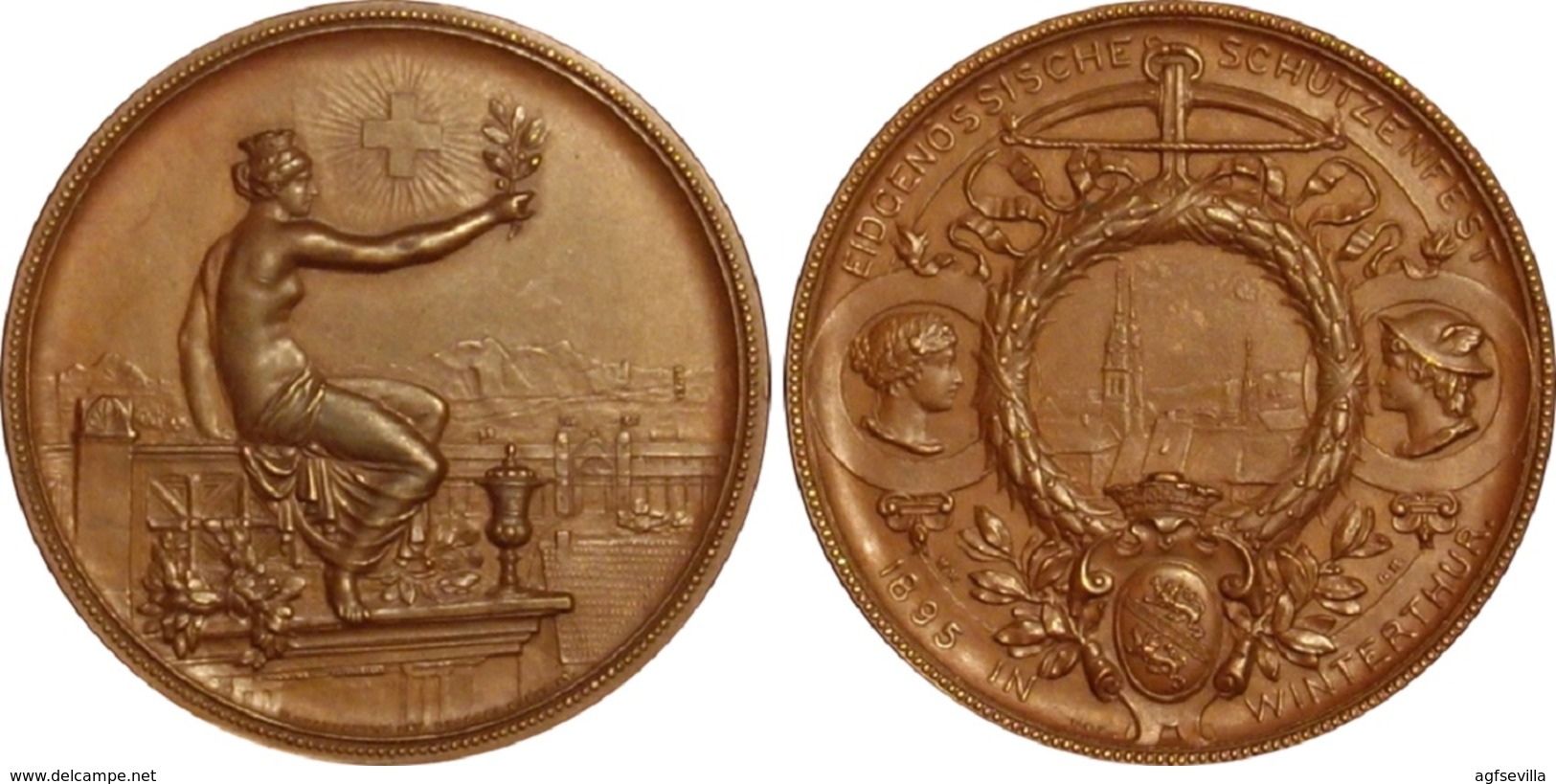 SUIZA. MEDALLA DEL FESTIVAL DE TIRO EN WINTERTHUR. 1.895 - Profesionales / De Sociedad