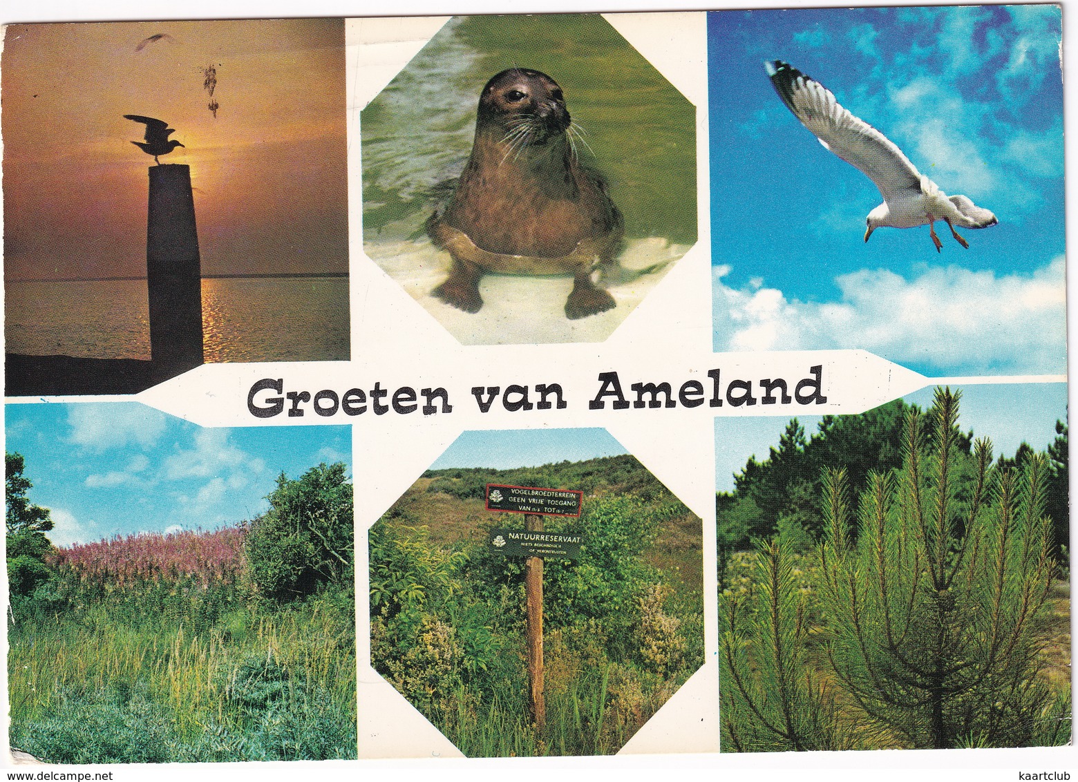 Groeten Van Ameland - (Wadden, Holland) - Ameland
