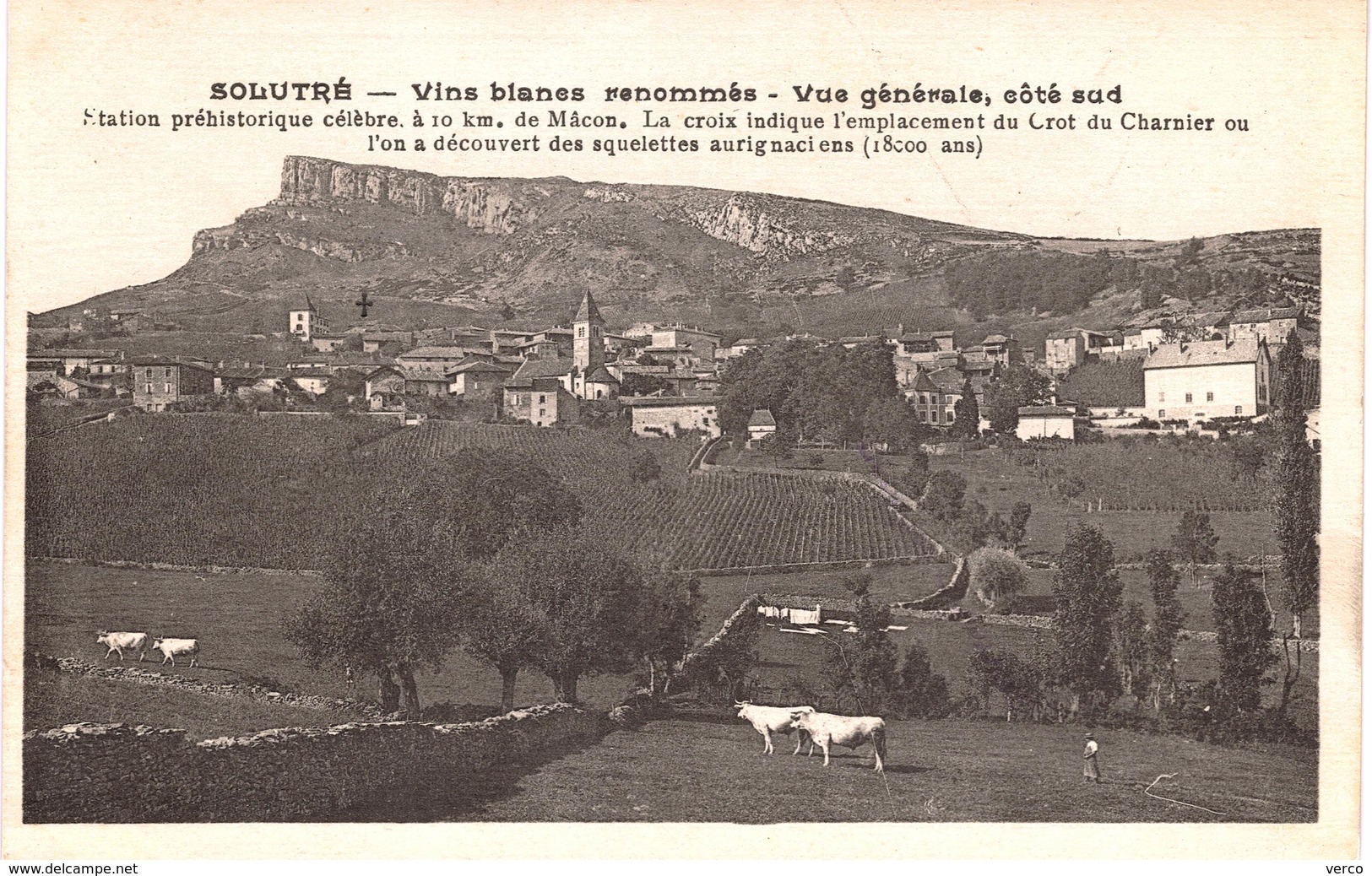 Carte Postale Ancienne De SOLUTRE - Altri & Non Classificati