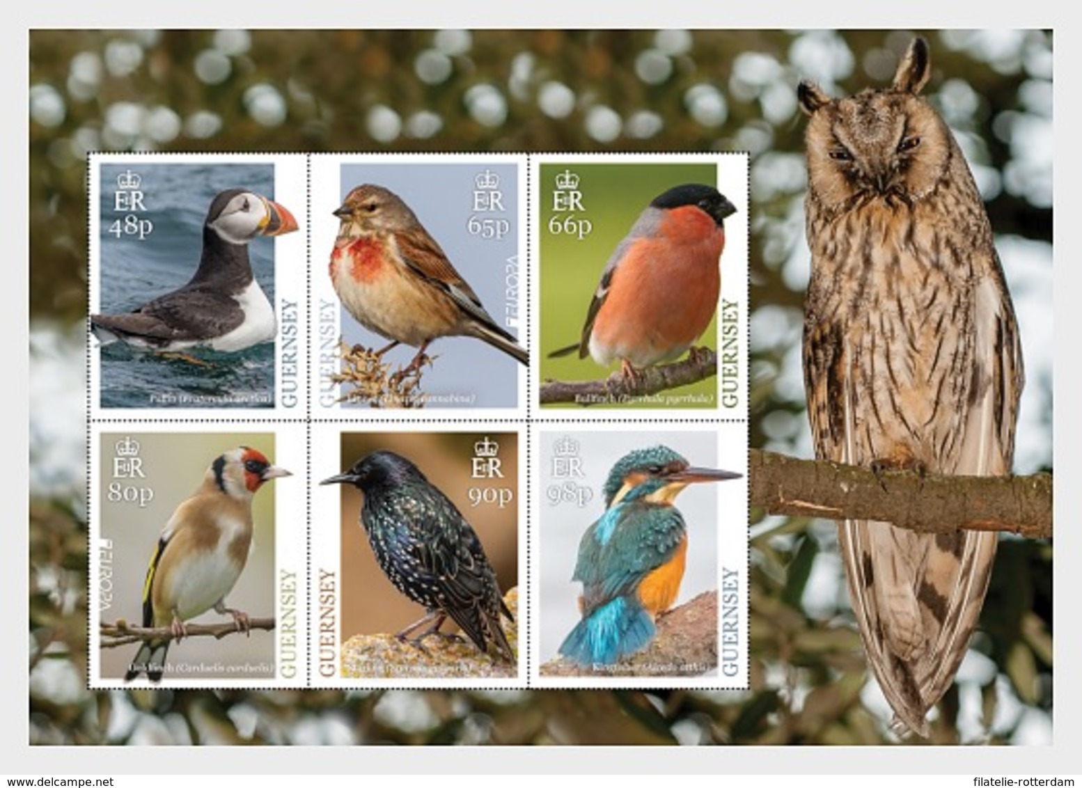 Guernsey - Postfris / MNH - Sheet Europa, Vogels 2019 - Guernsey