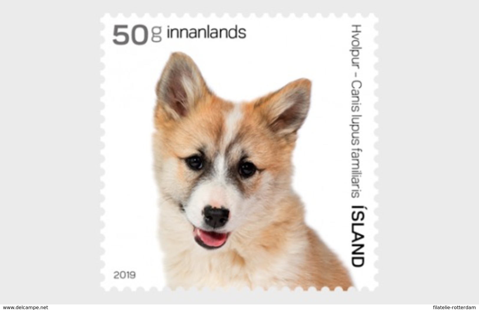 IJsland / Iceland - Postfris / MNH - Complete Set Jonge Dieren 2019 - Ongebruikt