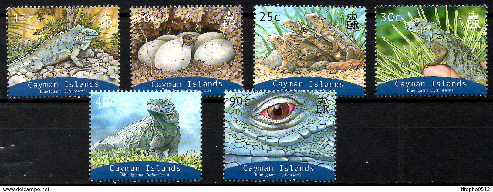 CAÏMANES. N°971-6 De 2004. WWF Iguane. - Autres & Non Classés