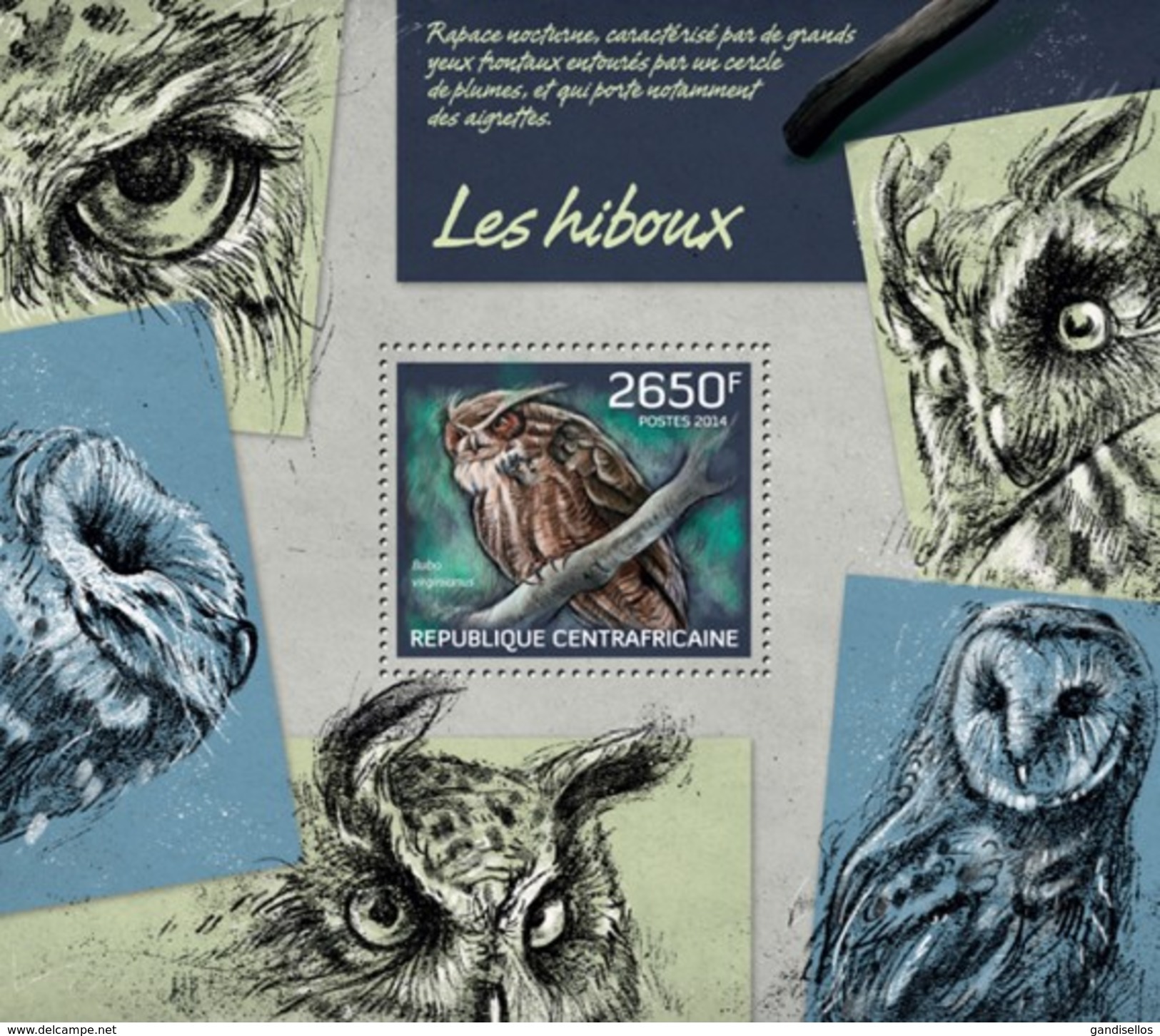 CENTRAFRICAINE 2014 SHEET OWLS BIRDS OF PREY NOCTURNAL HIBOUX OISEAUX MOCHOS CORUJAS WILDLIFE Ca14213b - Zentralafrik. Republik