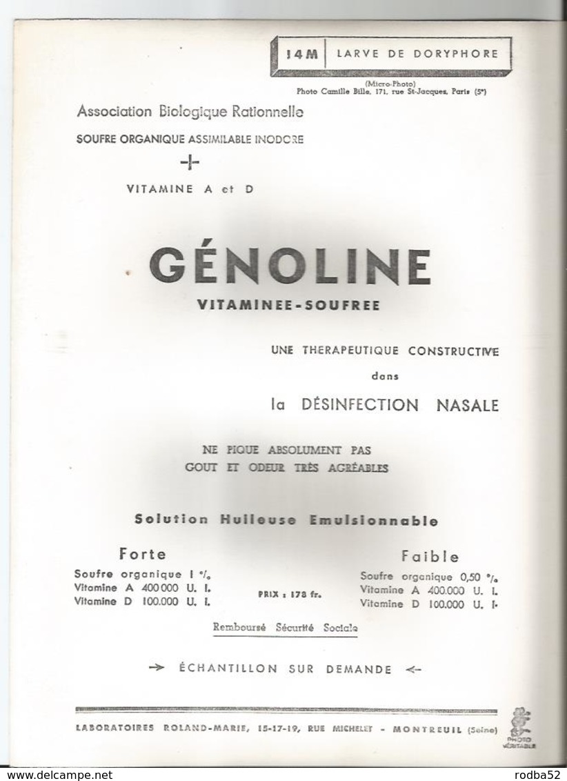 Grande Photo-Larve De Doryphore -  En Gros Plan - Pub Génoline -Médicament Laboratoire Médecine Publicité - Other & Unclassified