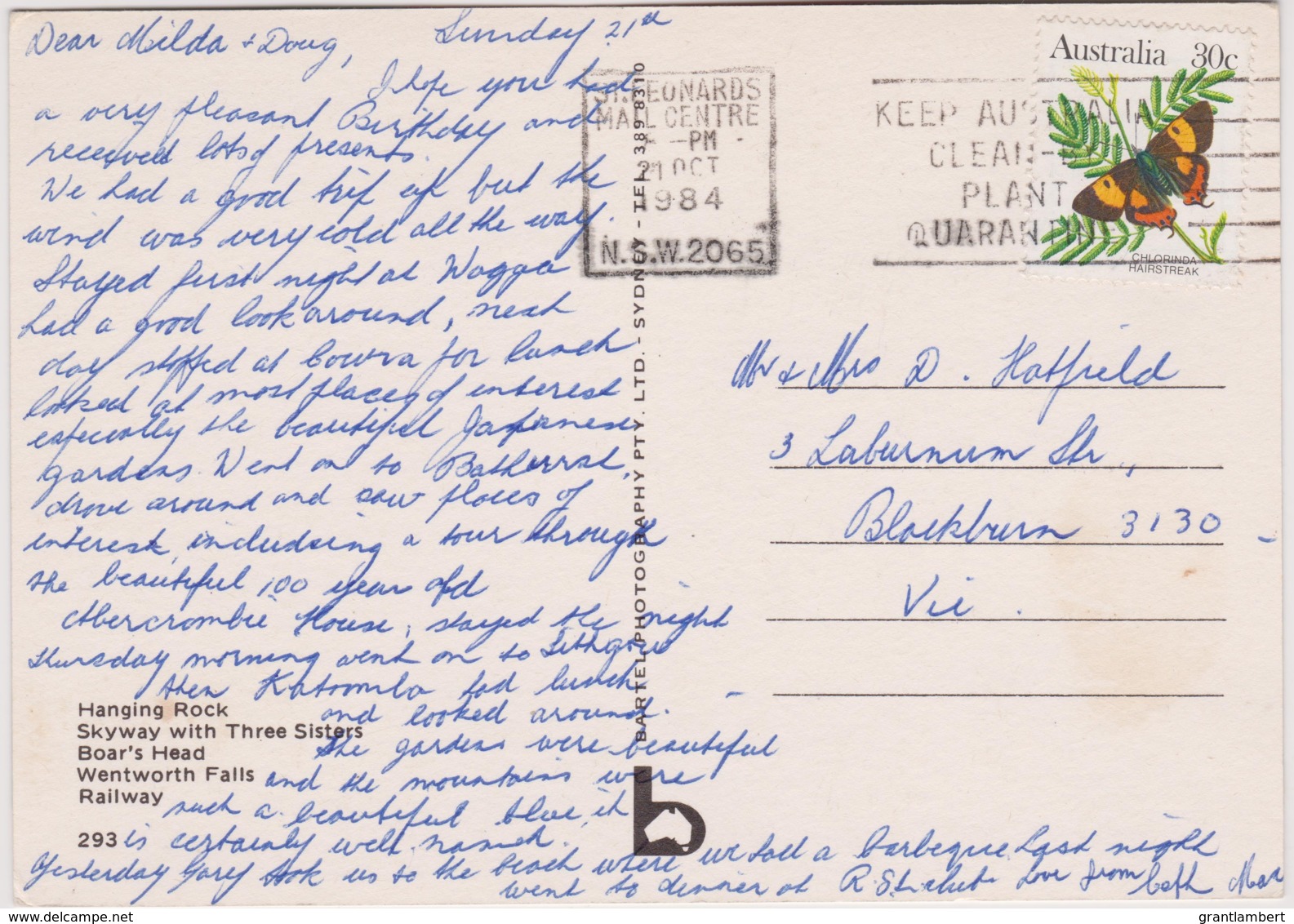 Blue Mountains, Katoomba, New South Wales - Posted 1984 With Butterfly Stamp - Other & Unclassified