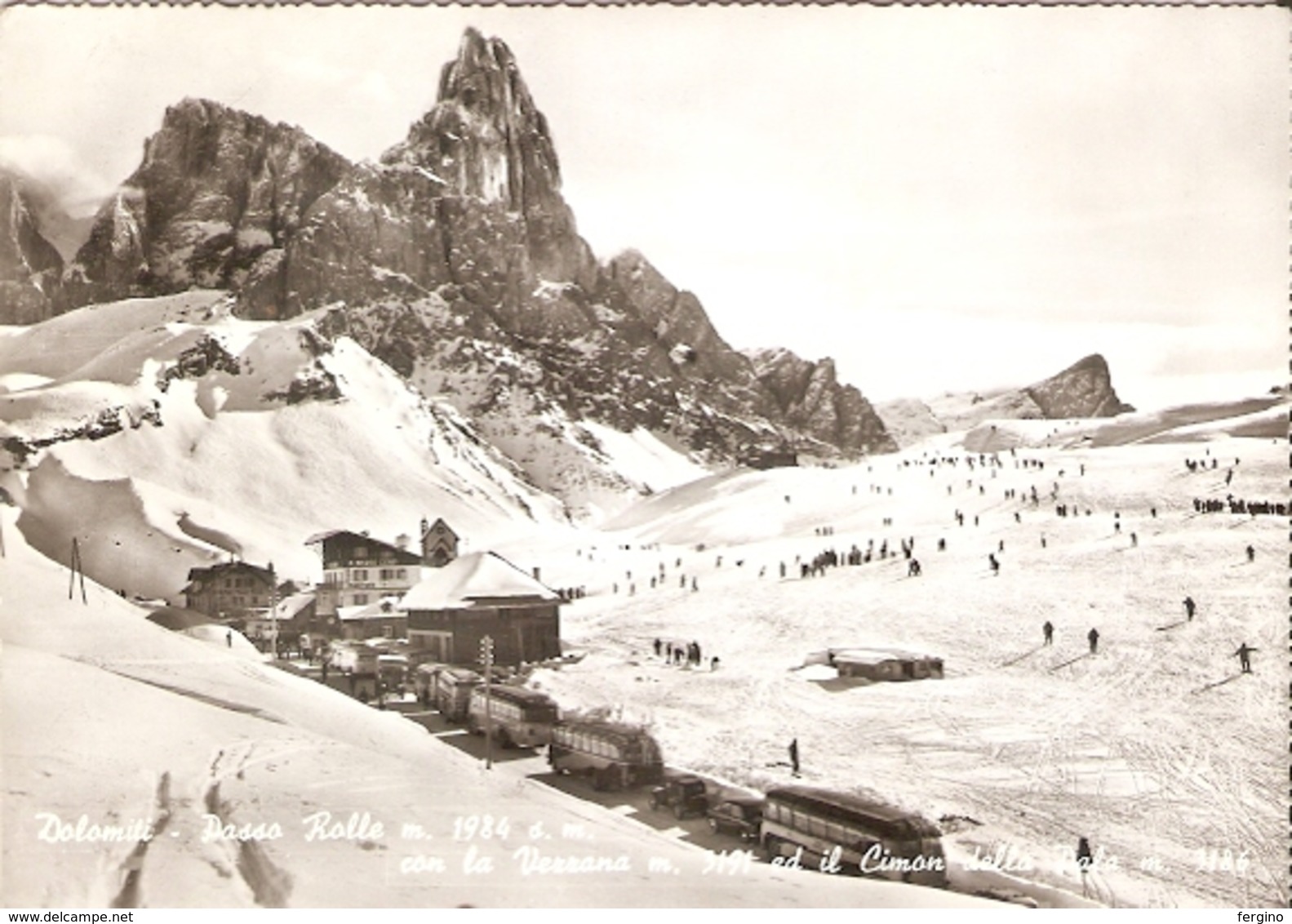 503/FG/19 - ALPINISMO - PASSO ROLLE (TRENTO) - Trento